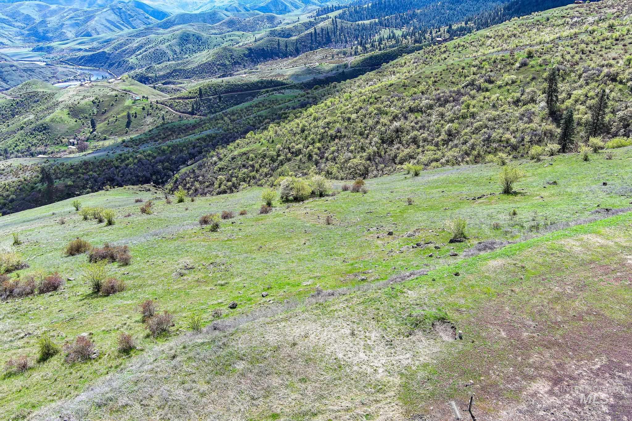 165 MOUNTAIN VIEW RD, White Bird, Idaho 83554, Land For Sale, Price $170,000, 98980751