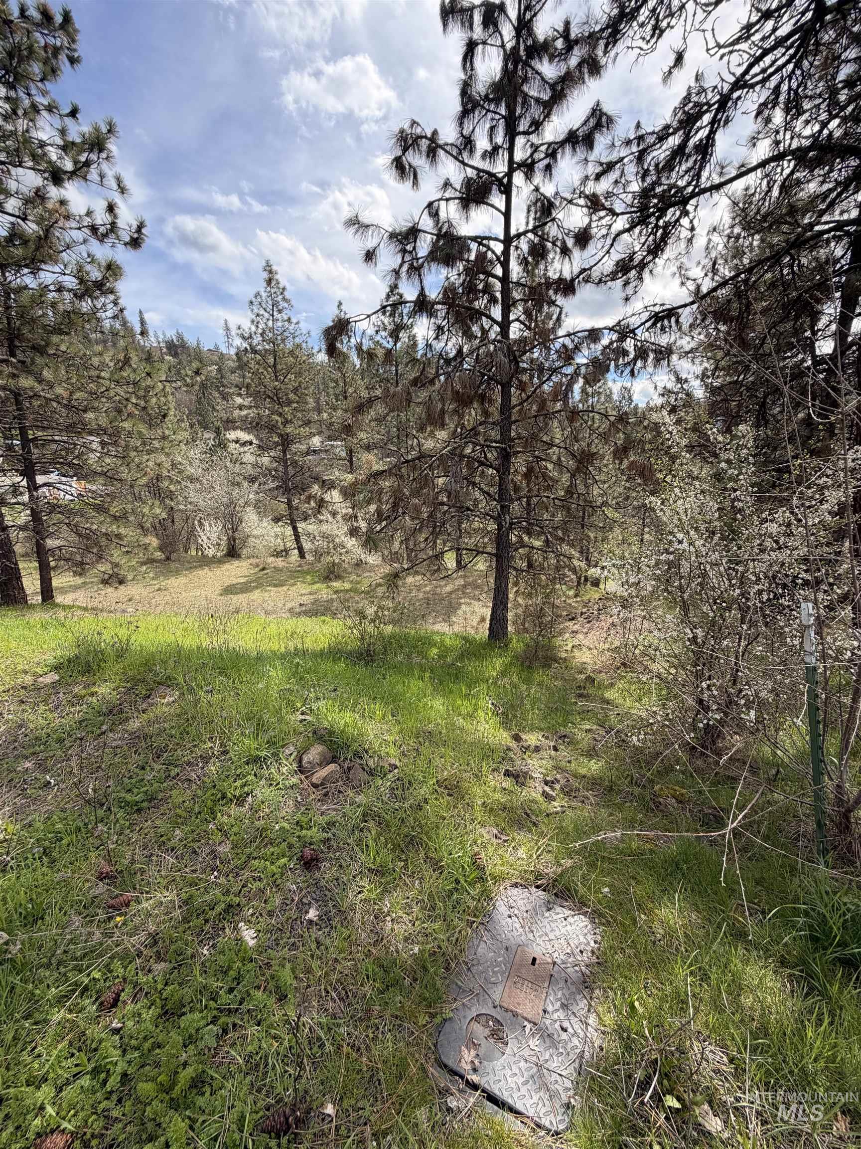 TBD CARLISLE CT LOTS 11 & 15, Kamiah, Idaho 83536, Land For Sale, Price $59,500, 98980769