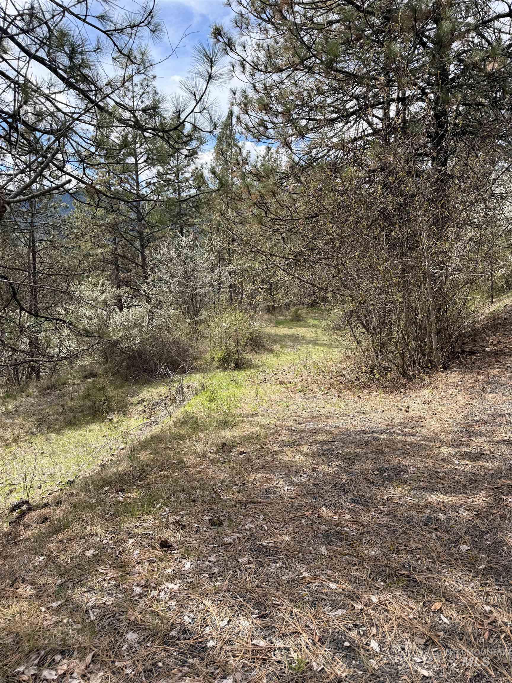 TBD CARLISLE CT LOTS 11 & 15, Kamiah, Idaho 83536, Land For Sale, Price $59,500, 98980769