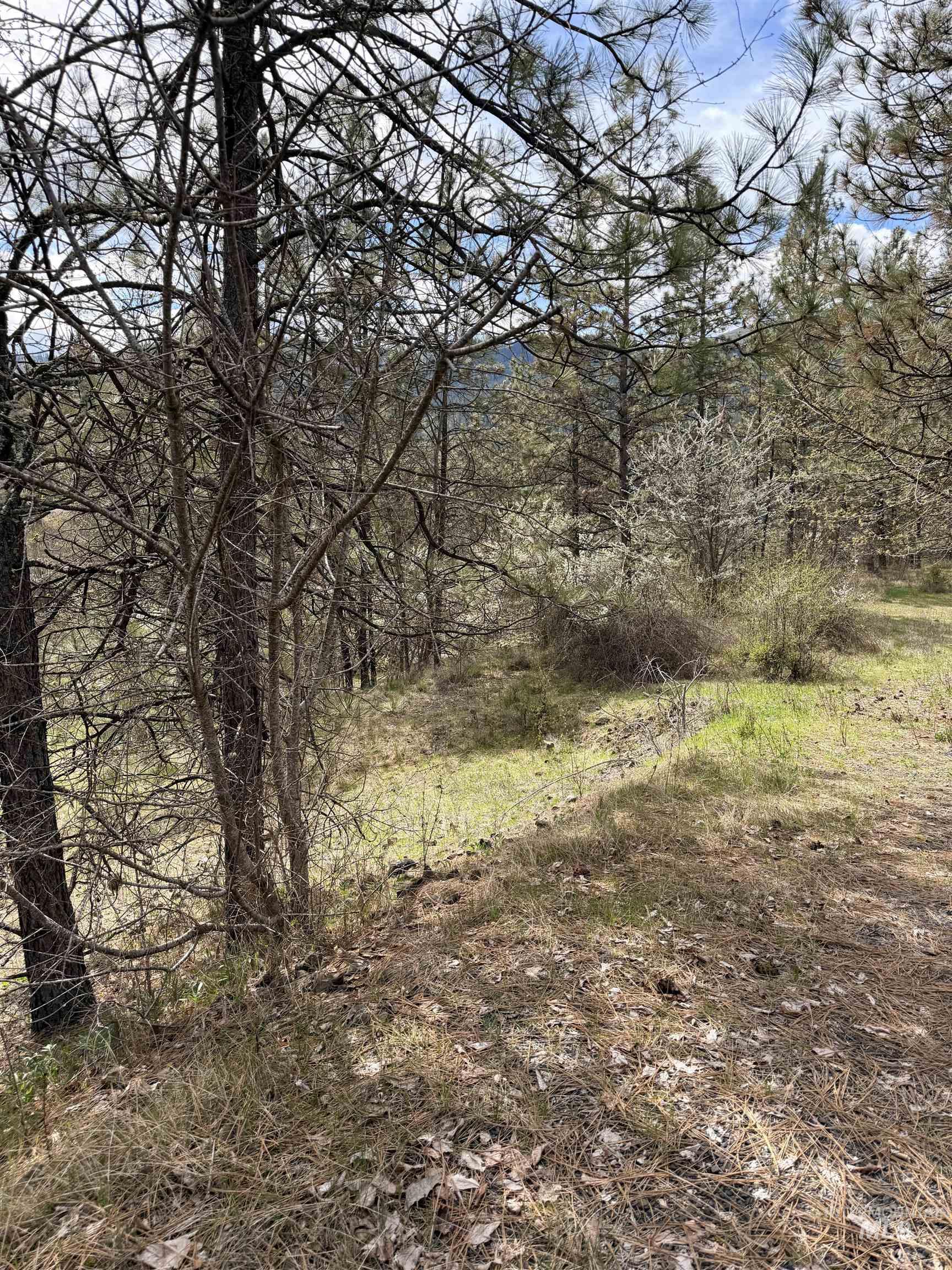 TBD CARLISLE CT LOTS 11 & 15, Kamiah, Idaho 83536, Land For Sale, Price $59,500, 98980769