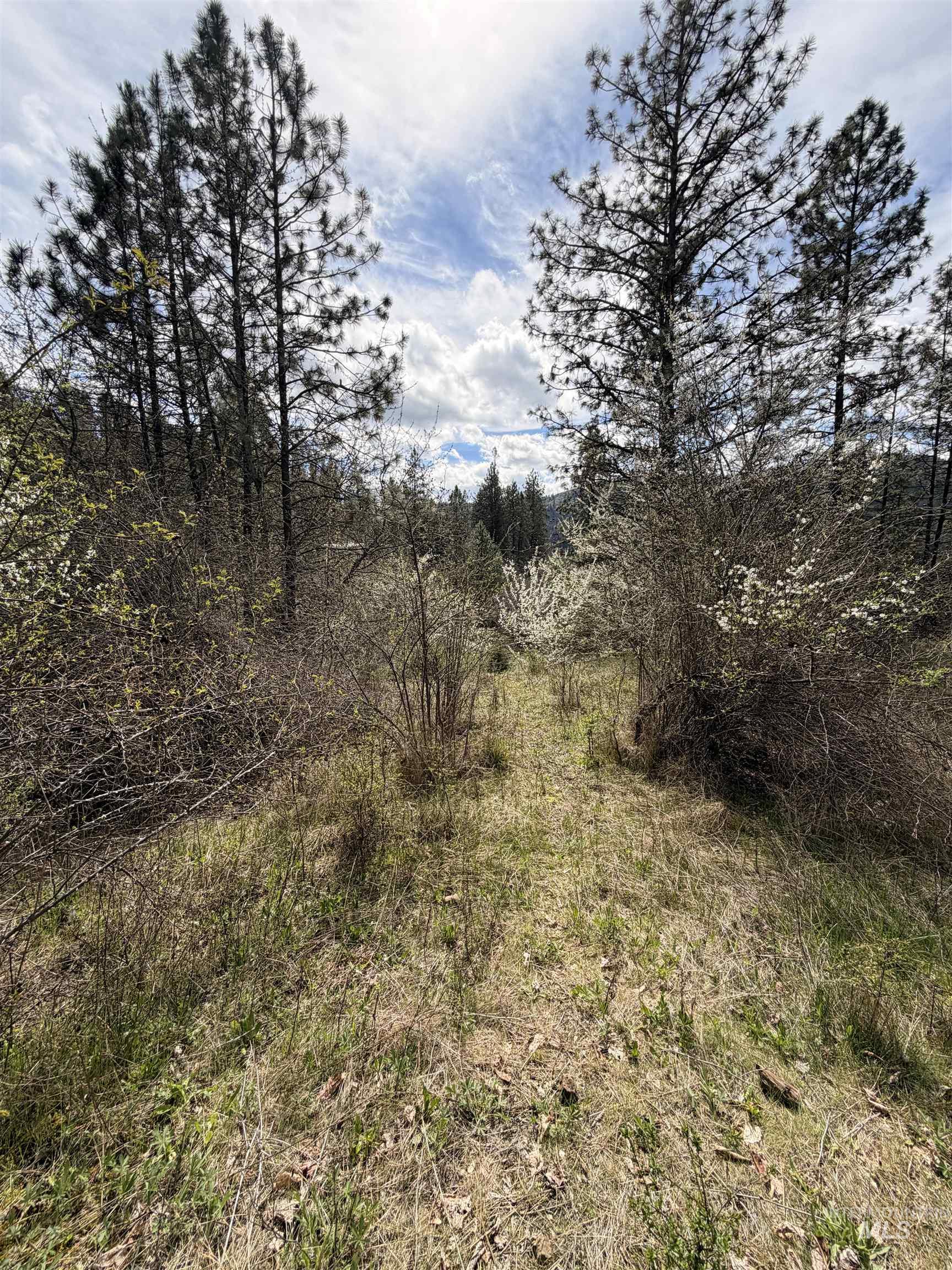 TBD CARLISLE CT LOTS 11 & 15, Kamiah, Idaho 83536, Land For Sale, Price $59,500, 98980769