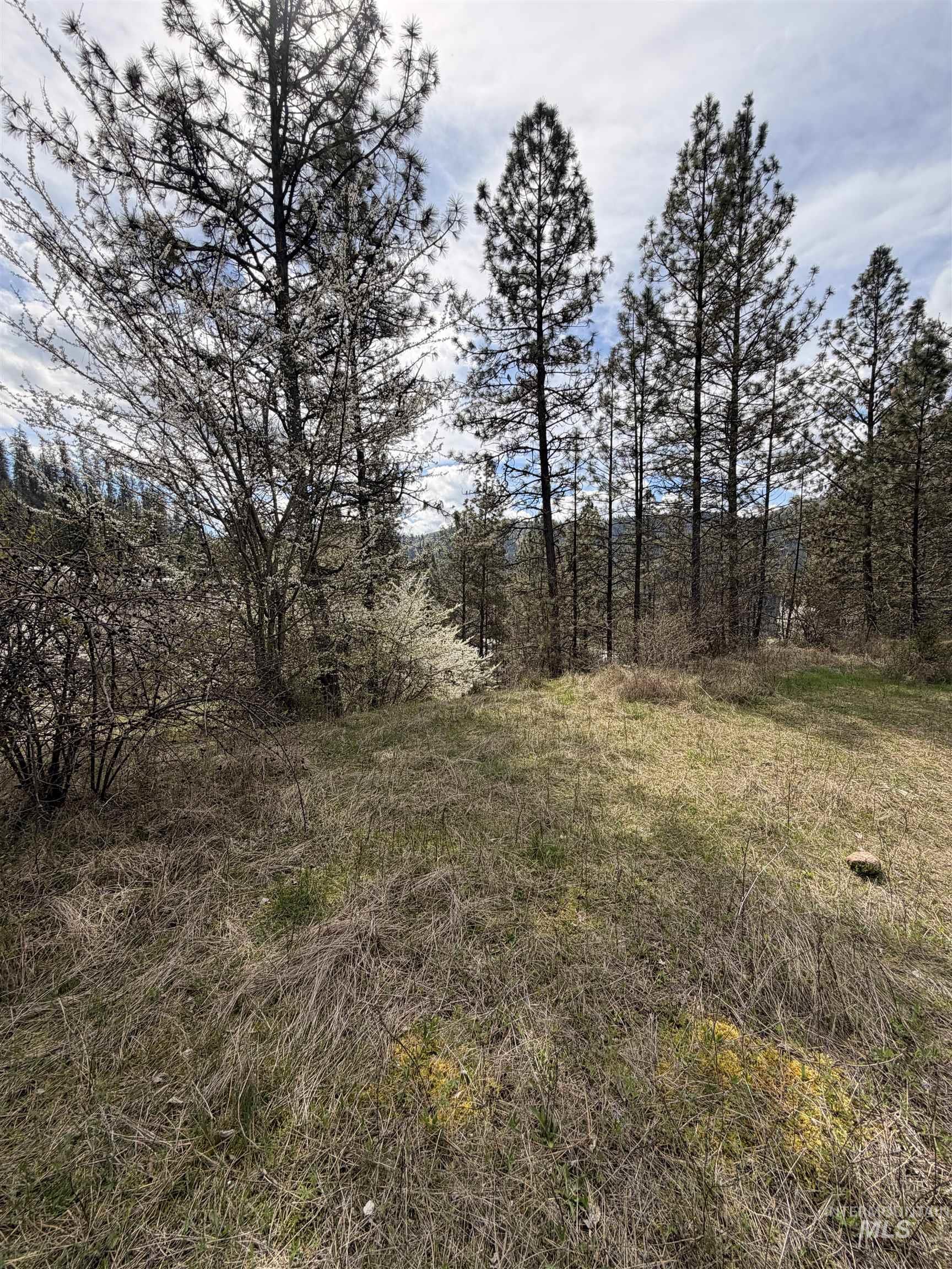 TBD CARLISLE CT LOTS 11 & 15, Kamiah, Idaho 83536, Land For Sale, Price $59,500, 98980769
