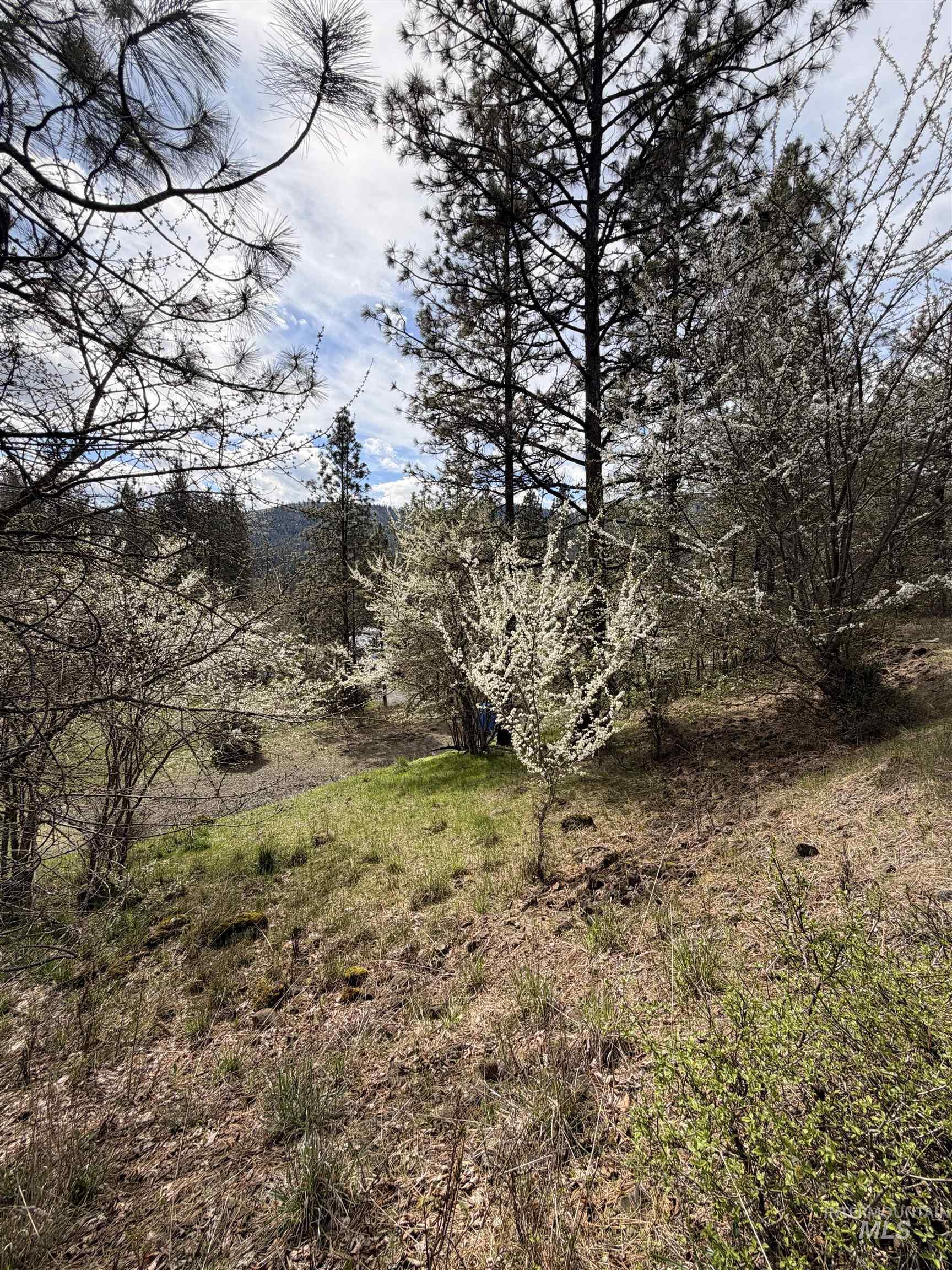 TBD CARLISLE CT LOTS 11 & 15, Kamiah, Idaho 83536, Land For Sale, Price $59,500, 98980769