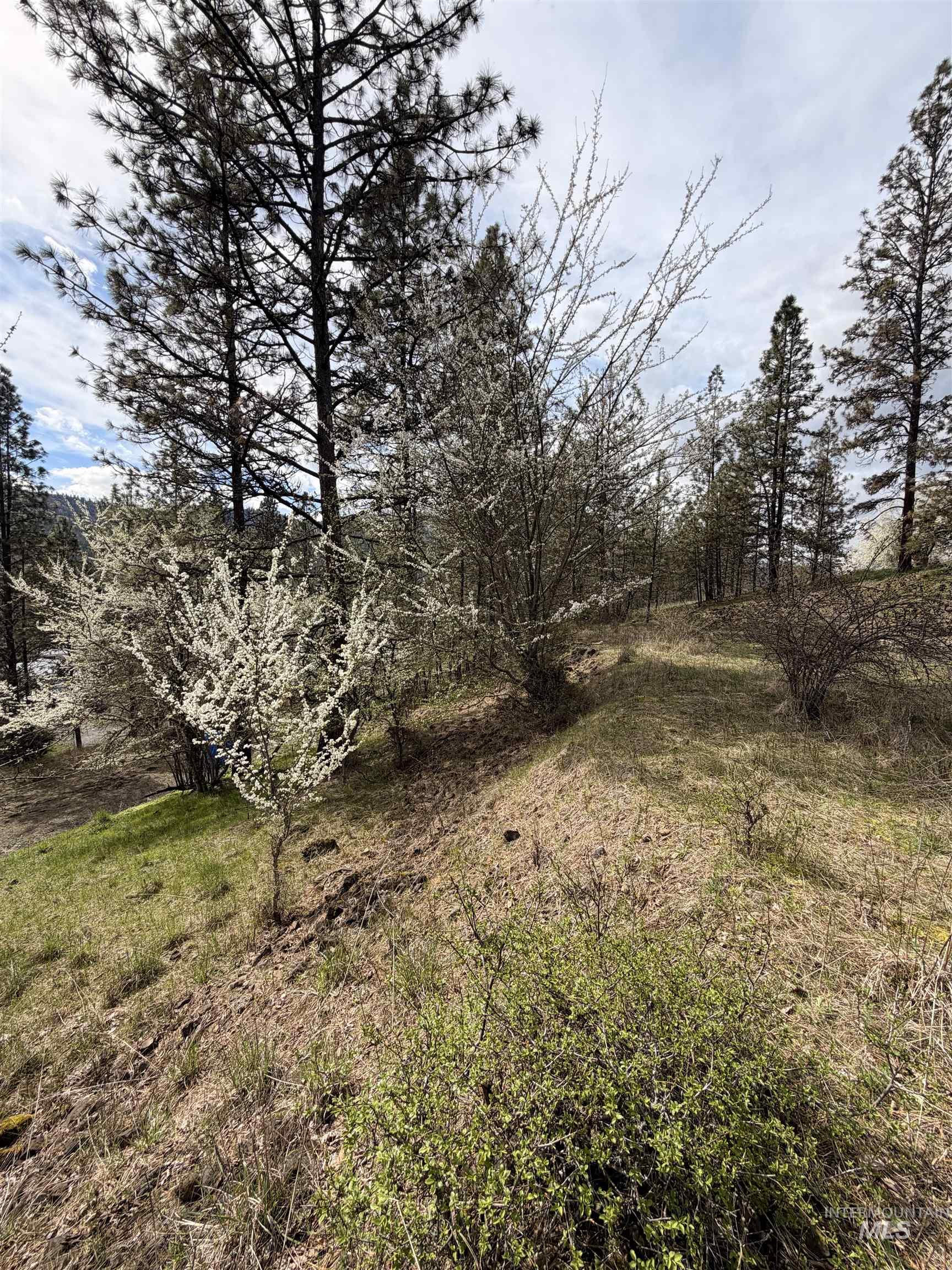 TBD CARLISLE CT LOTS 11 & 15, Kamiah, Idaho 83536, Land For Sale, Price $59,500, 98980769
