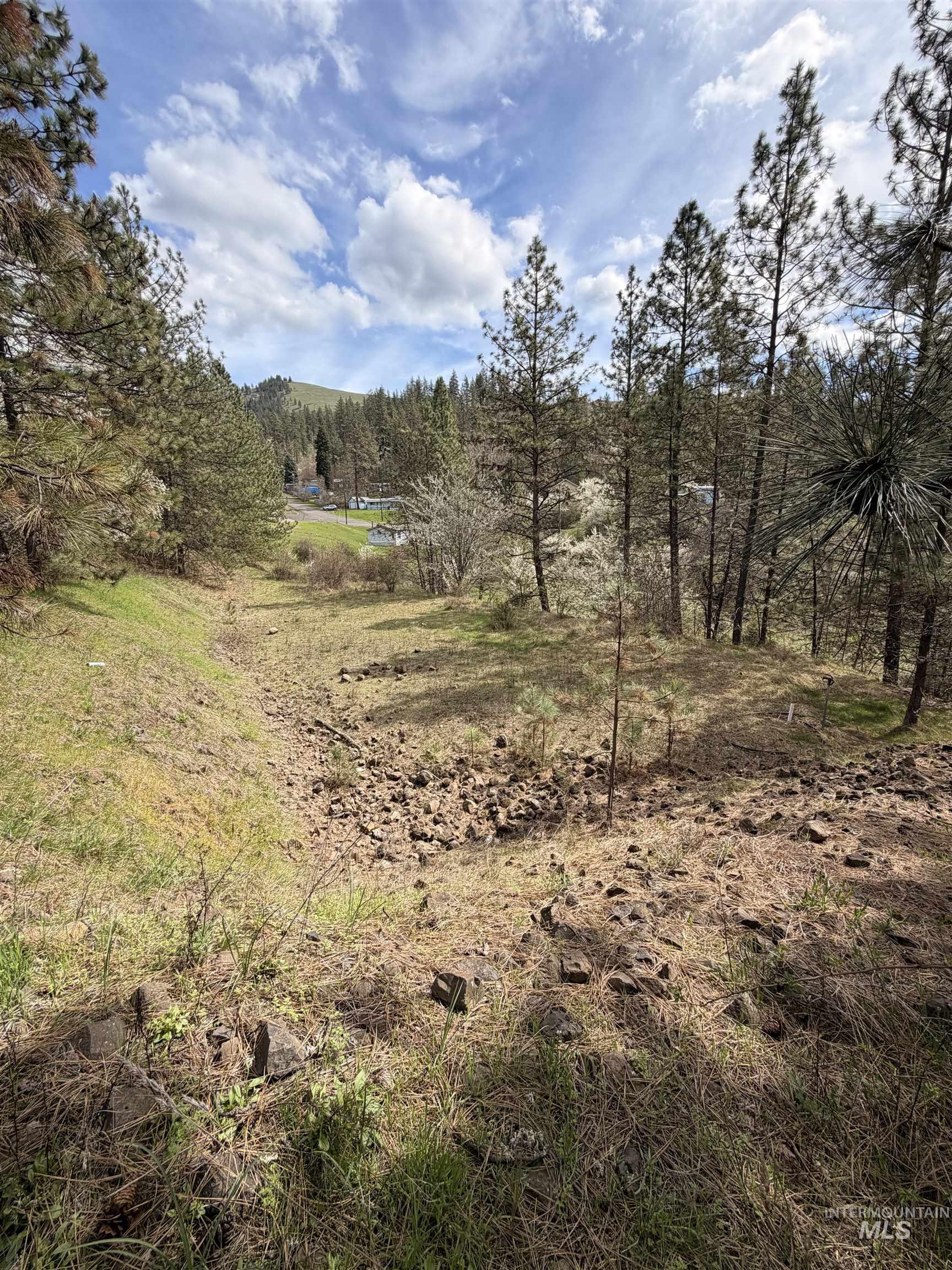 TBD CARLISLE CT LOTS 11 & 15, Kamiah, Idaho 83536, Land For Sale, Price $59,500, 98980769