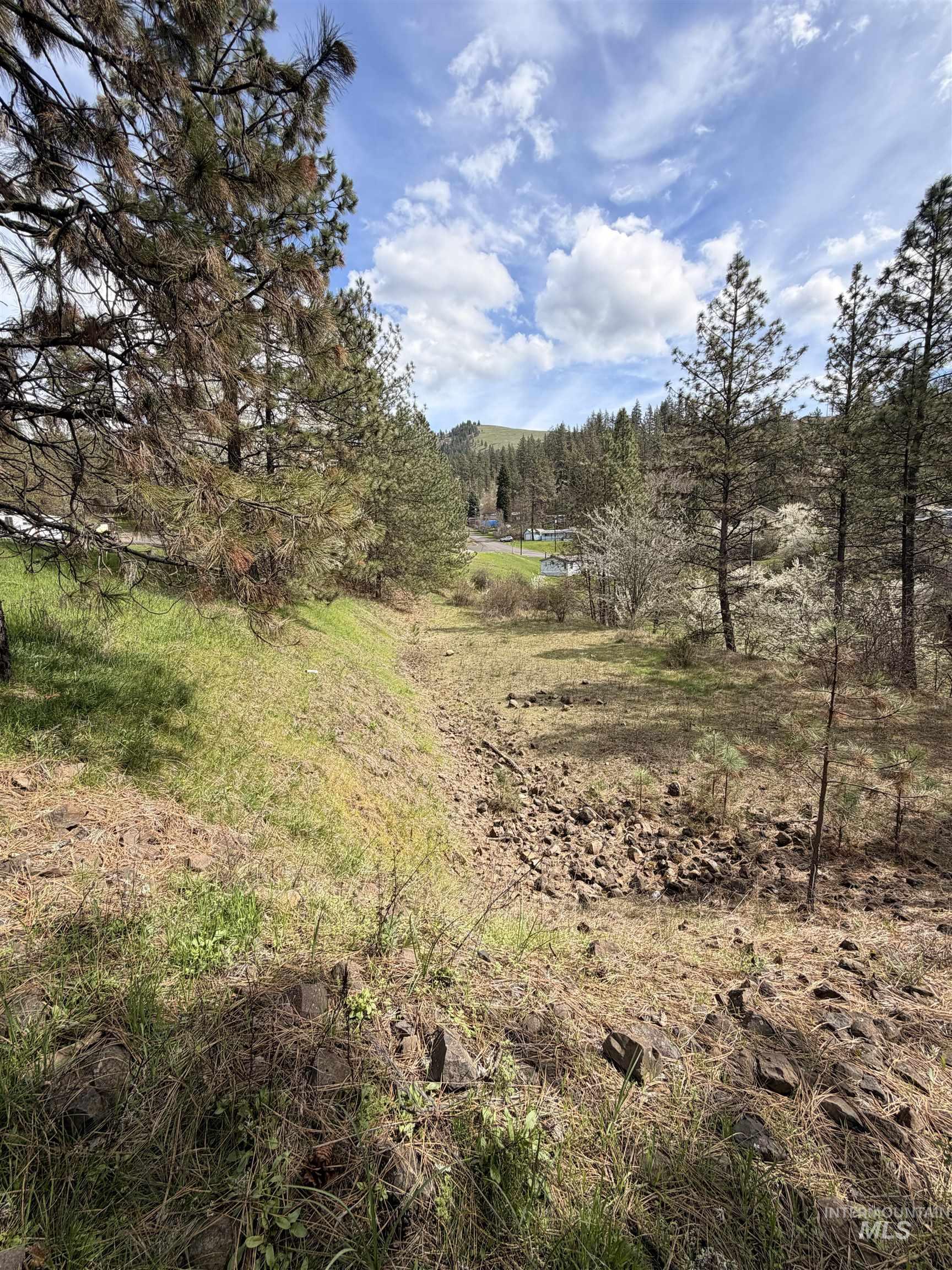 TBD CARLISLE CT LOTS 11 & 15, Kamiah, Idaho 83536, Land For Sale, Price $59,500, 98980769