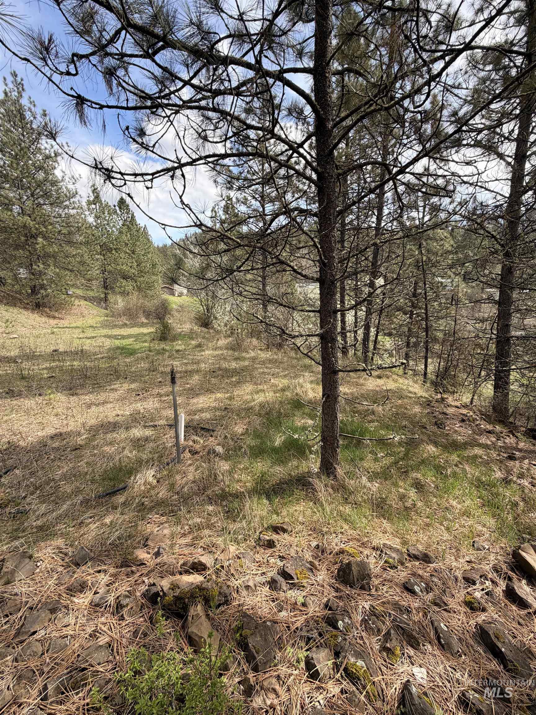 TBD CARLISLE CT LOTS 11 & 15, Kamiah, Idaho 83536, Land For Sale, Price $59,500, 98980769
