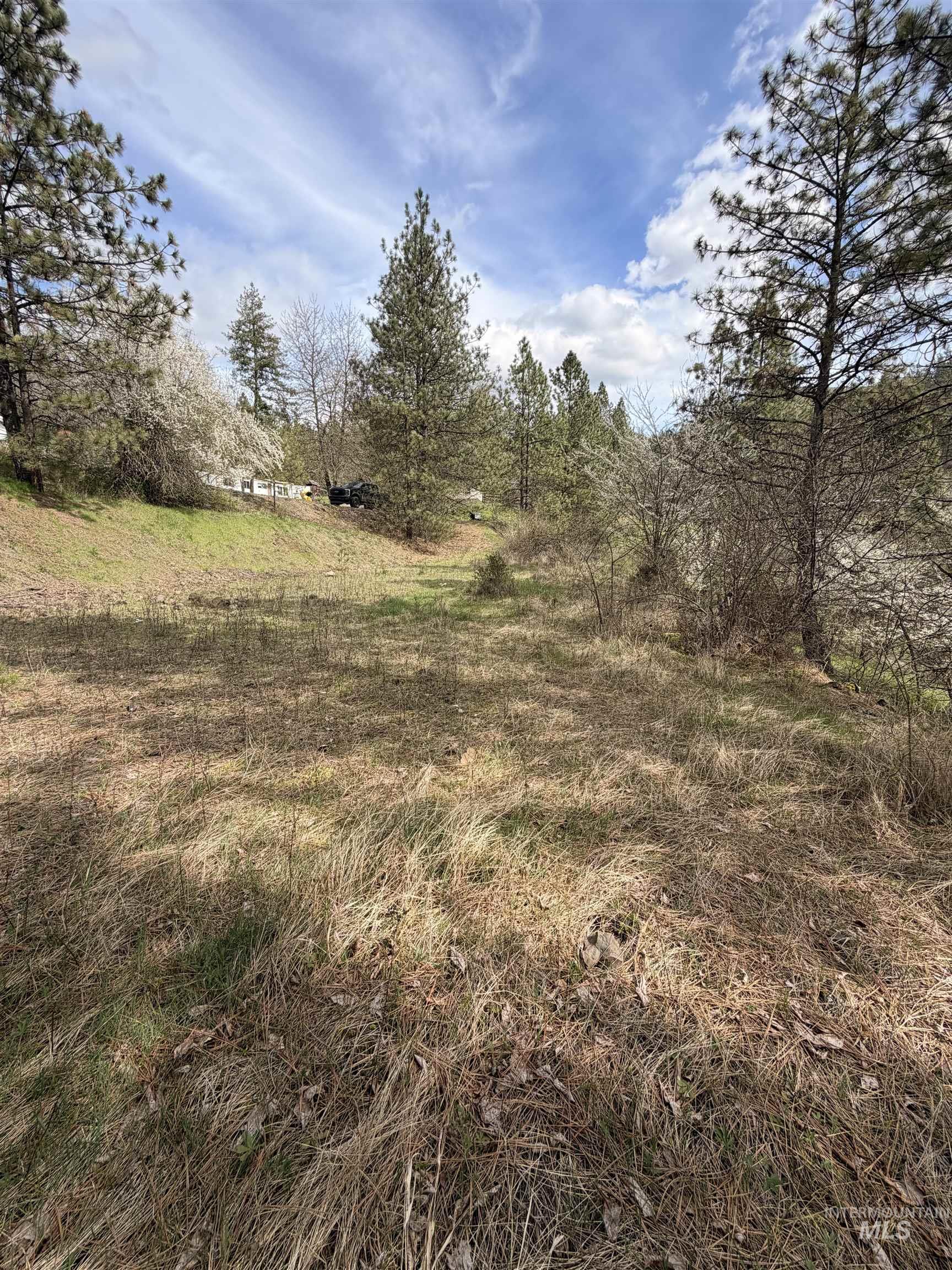 TBD CARLISLE CT LOTS 11 & 15, Kamiah, Idaho 83536, Land For Sale, Price $59,500, 98980769
