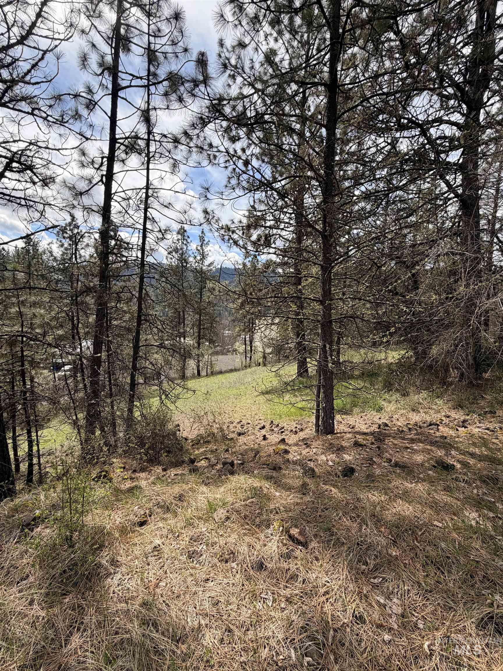 TBD CARLISLE CT LOTS 11 & 15, Kamiah, Idaho 83536, Land For Sale, Price $59,500, 98980769