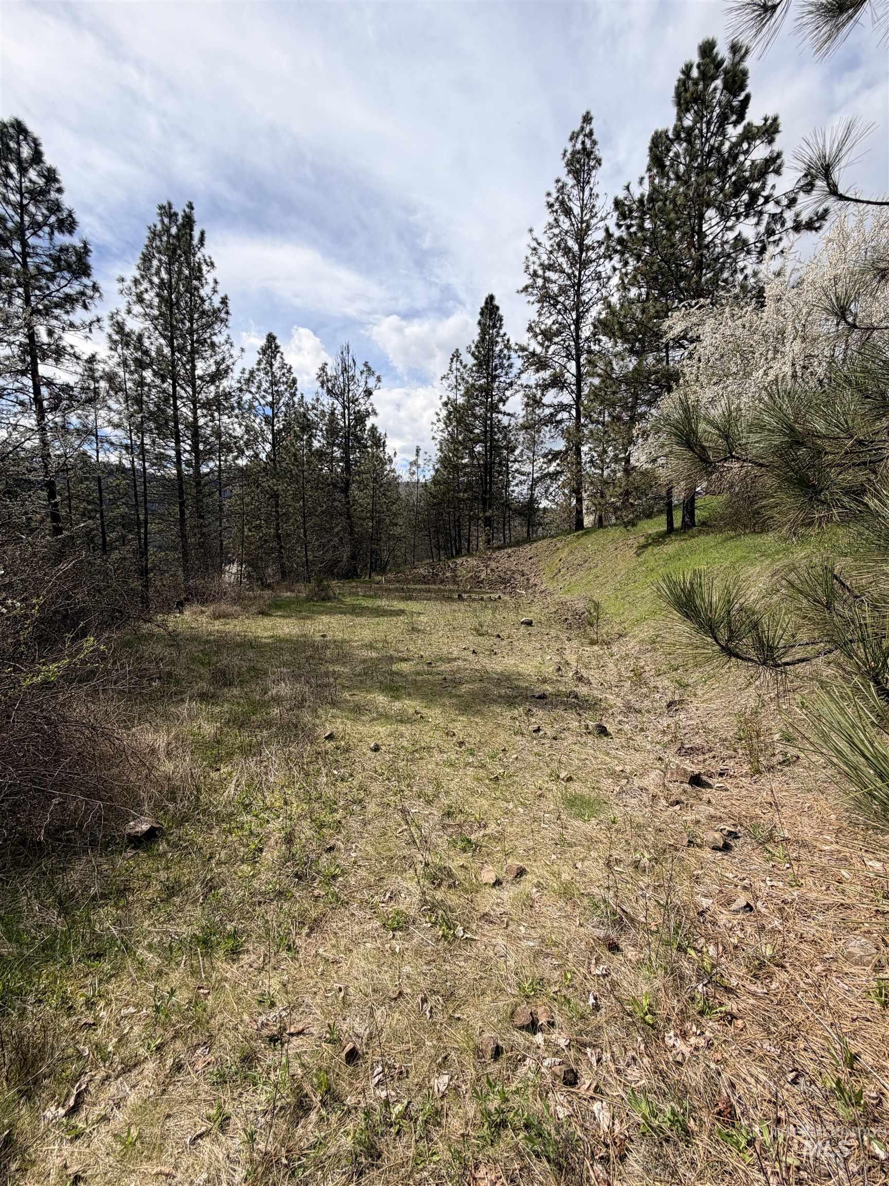TBD CARLISLE CT LOTS 11 & 15, Kamiah, Idaho 83536, Land For Sale, Price $59,500, 98980769