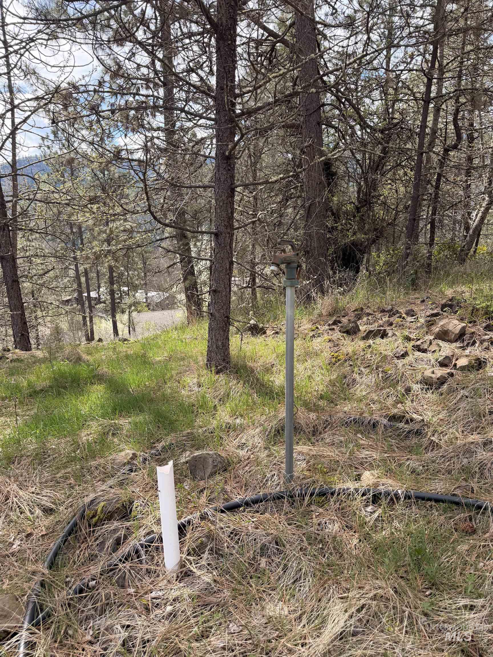 TBD CARLISLE CT LOTS 11 & 15, Kamiah, Idaho 83536, Land For Sale, Price $59,500, 98980769