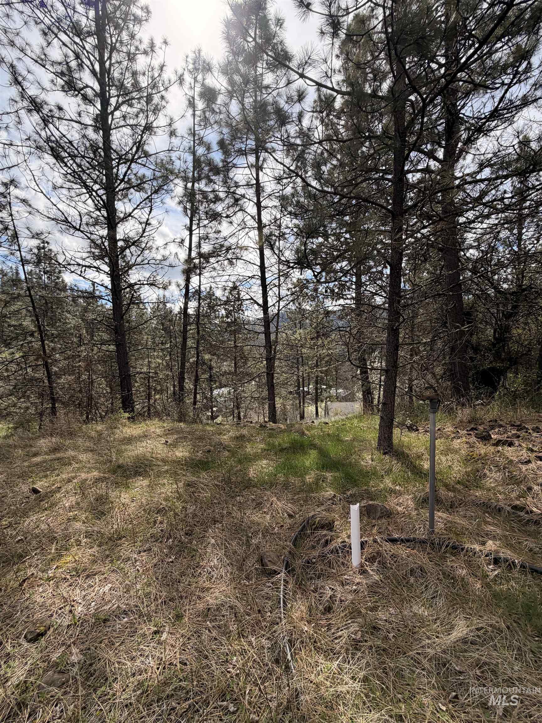 TBD CARLISLE CT LOTS 11 & 15, Kamiah, Idaho 83536, Land For Sale, Price $59,500, 98980769