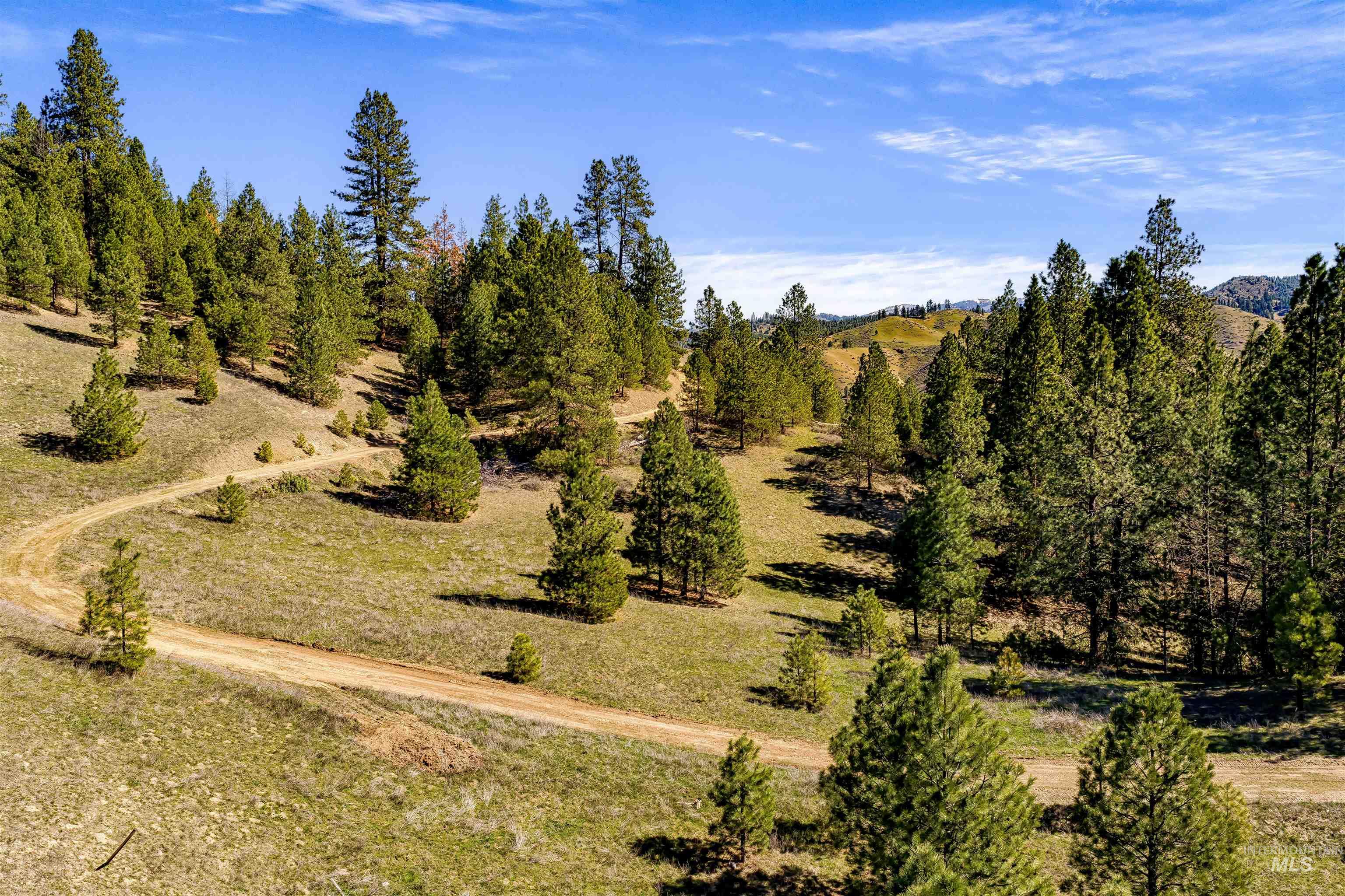 TBD Chapman Lane (116.72ac), Boise, Idaho 83716, Land For Sale, Price $1,575,000, 98980771