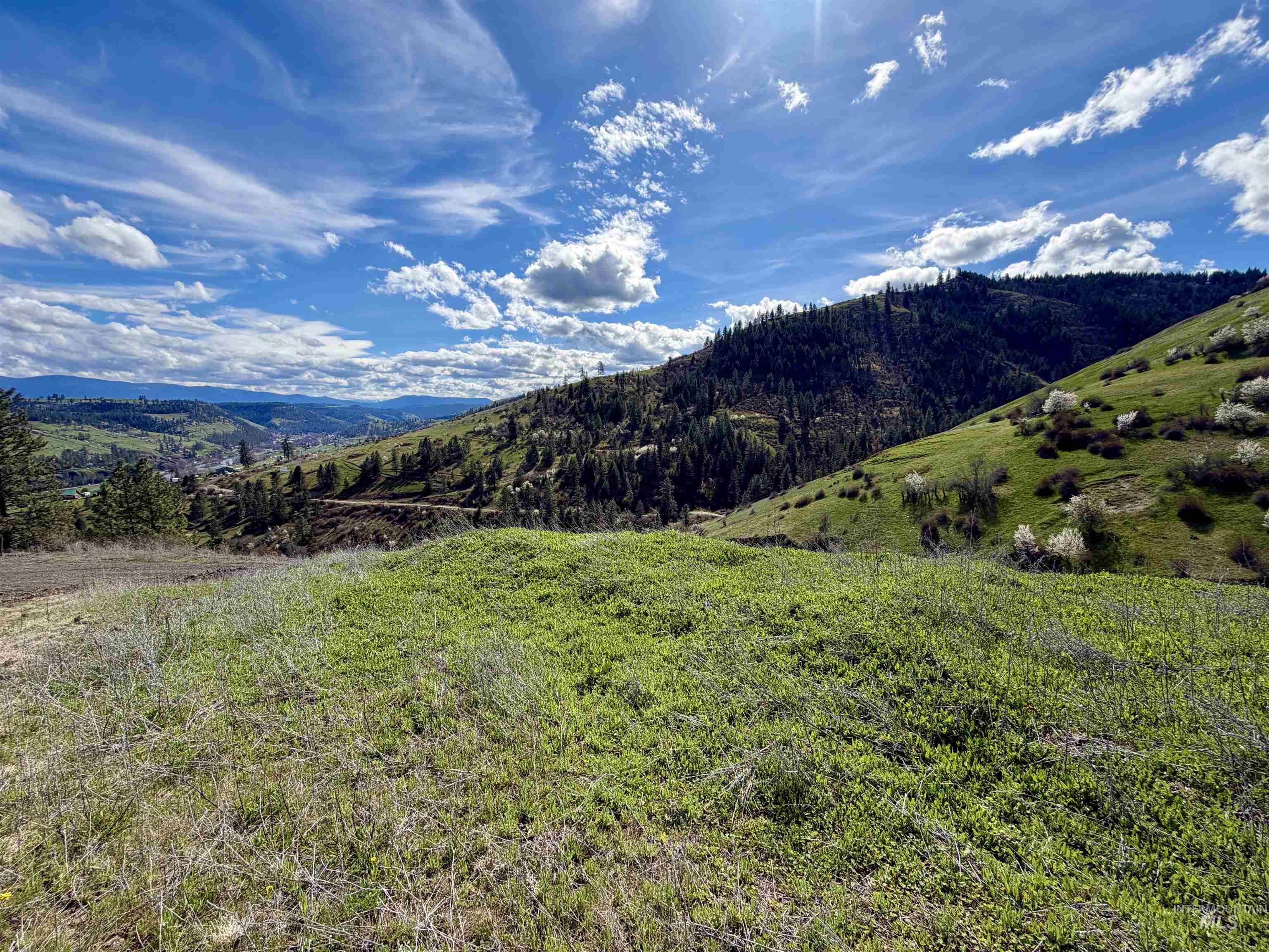 TBD Hidden Canyon Road, Kooskia, Idaho 83539, Land For Sale, Price $116,000, 98980780