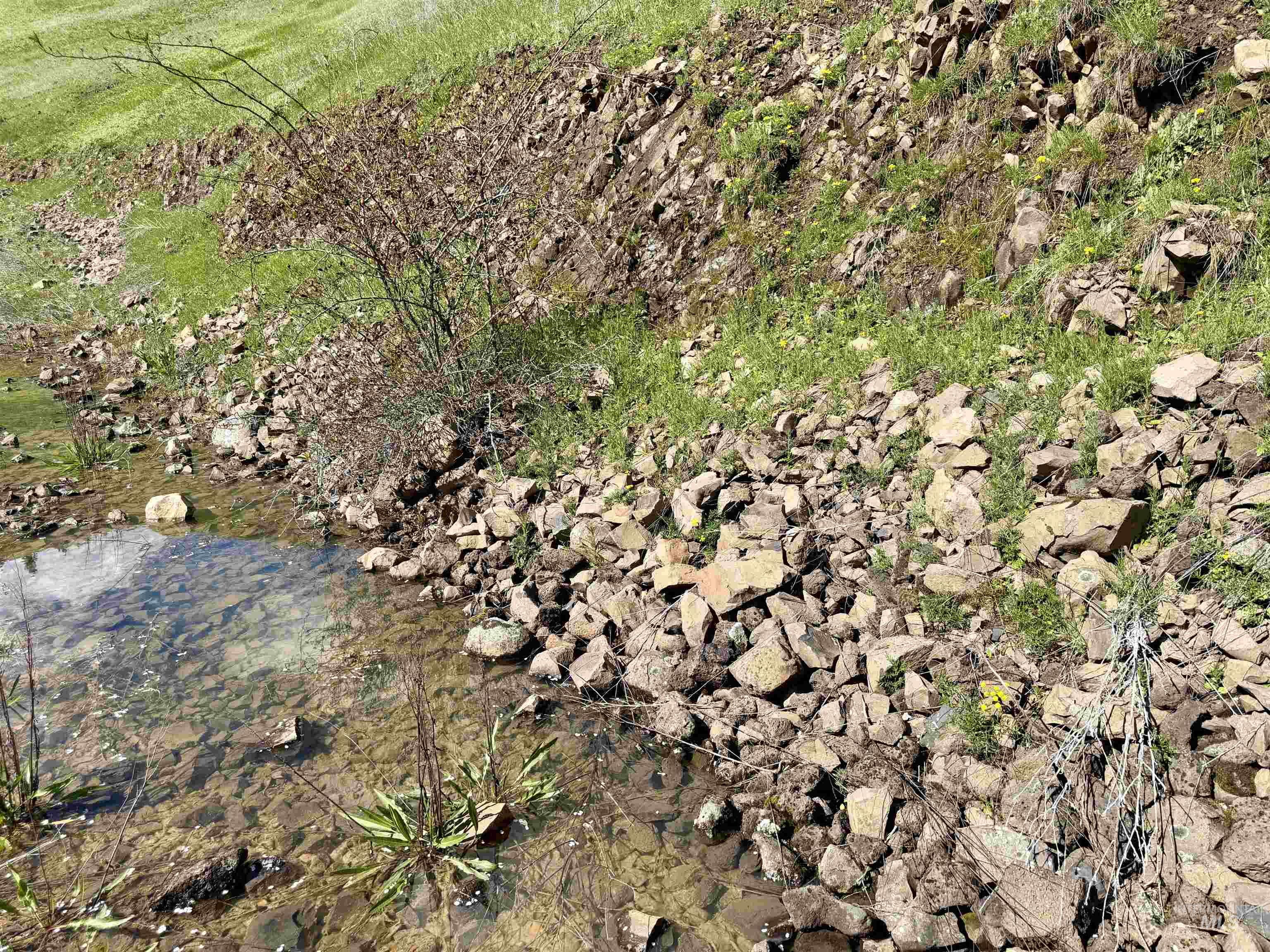 TBD Hidden Canyon Road, Kooskia, Idaho 83539, Land For Sale, Price $116,000, 98980780