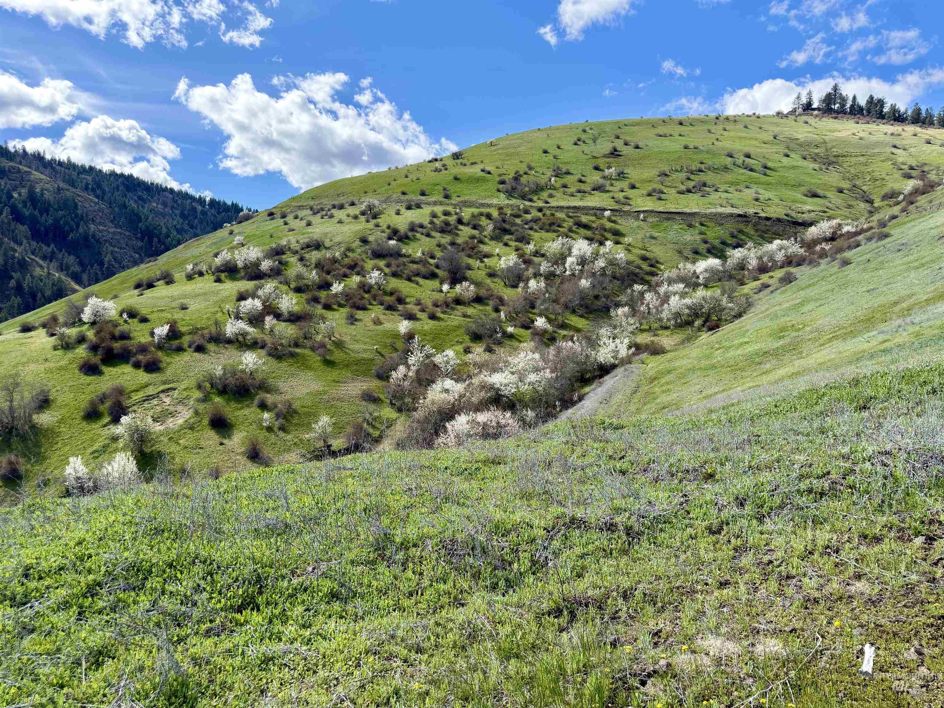 TBD Hidden Canyon Road, Kooskia, Idaho 83539, Land For Sale, Price $116,000, 98980780