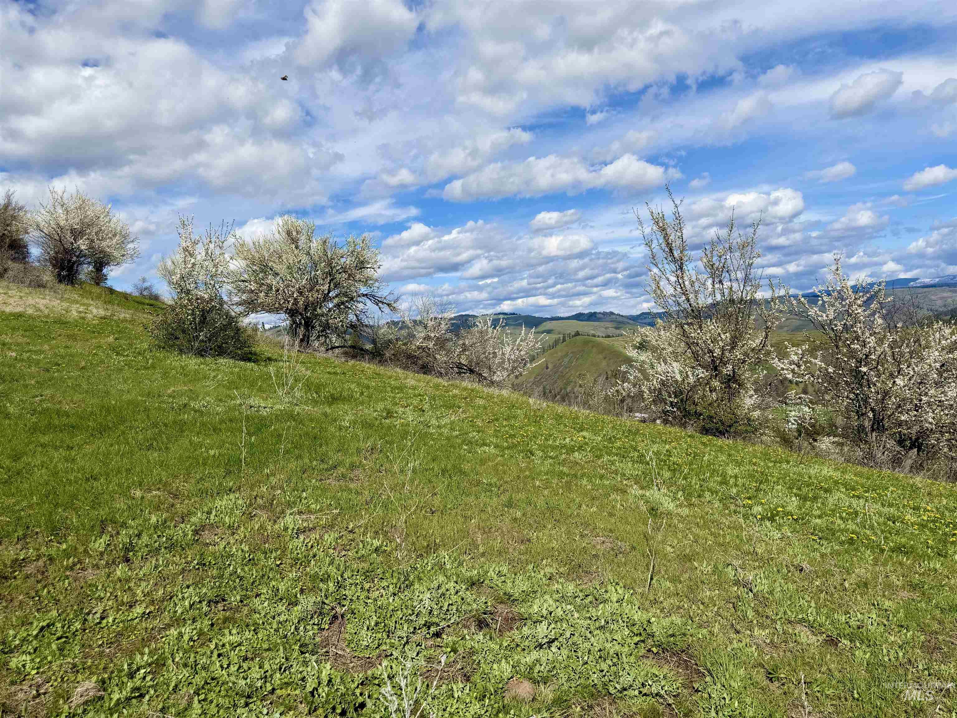 TBD Hidden Canyon Road, Kooskia, Idaho 83539, Land For Sale, Price $116,000, 98980780