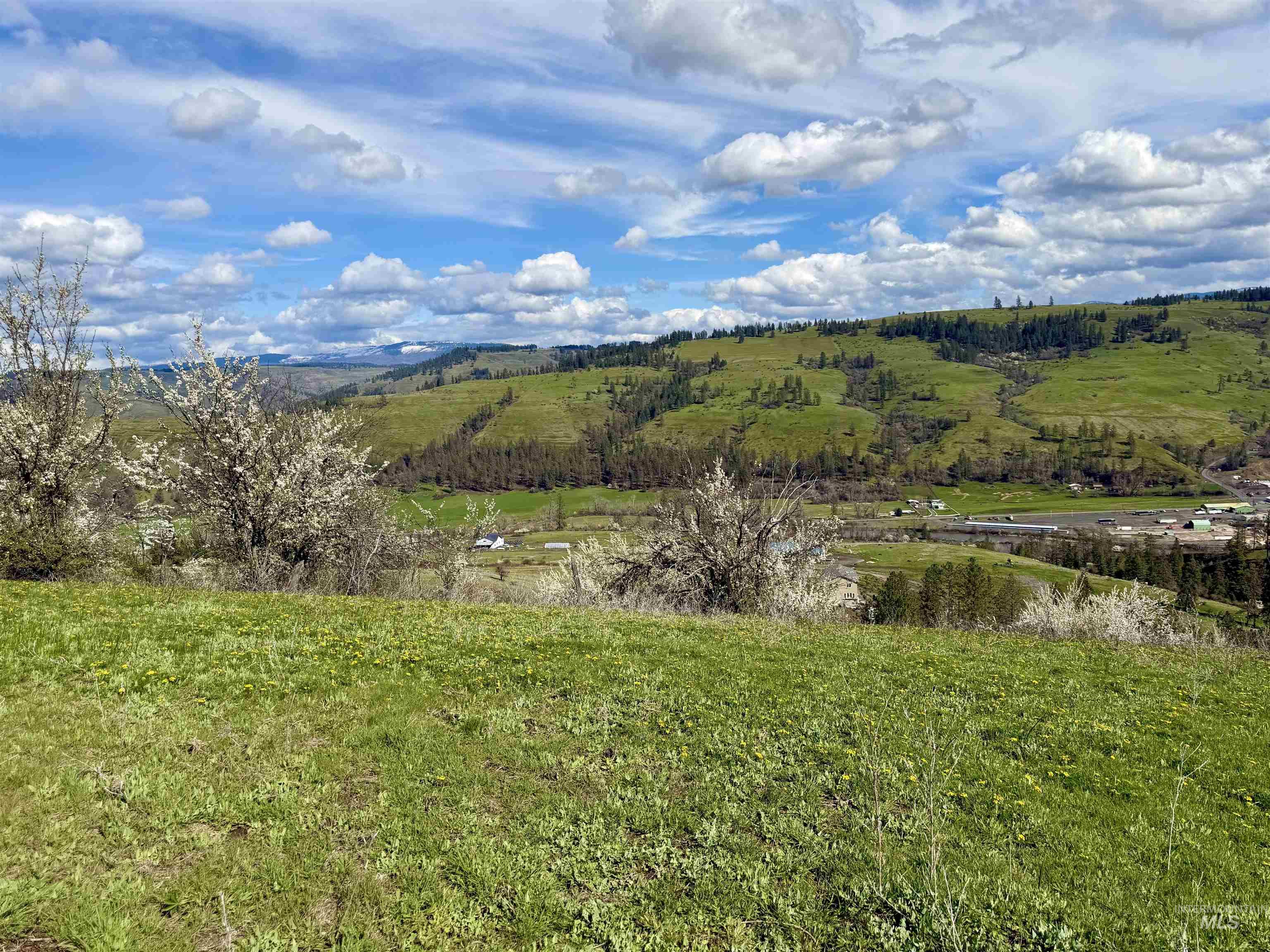 TBD Hidden Canyon Road, Kooskia, Idaho 83539, Land For Sale, Price $116,000, 98980780