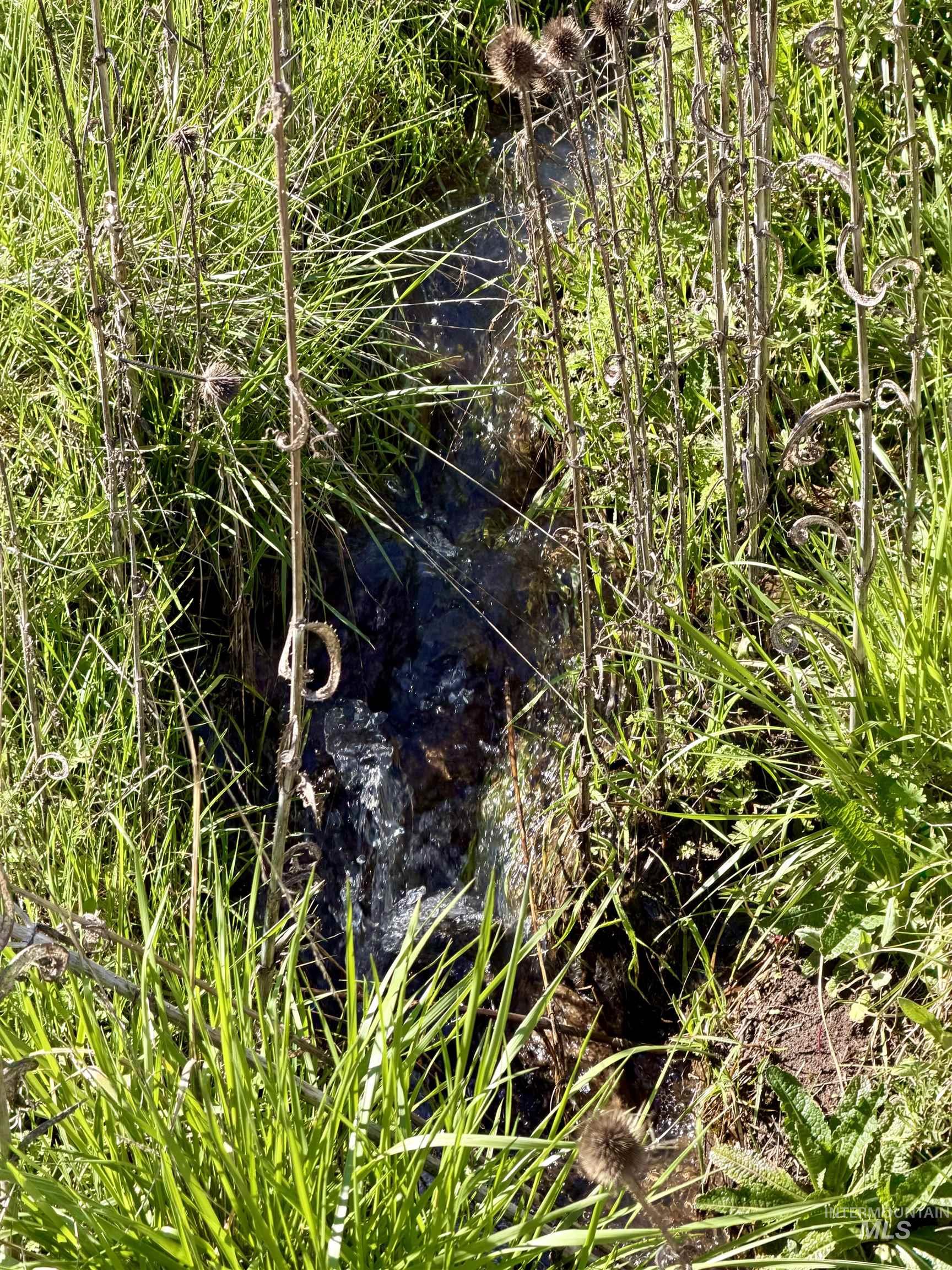 TBD Hidden Canyon Road, Kooskia, Idaho 83539, Land For Sale, Price $116,000, 98980780