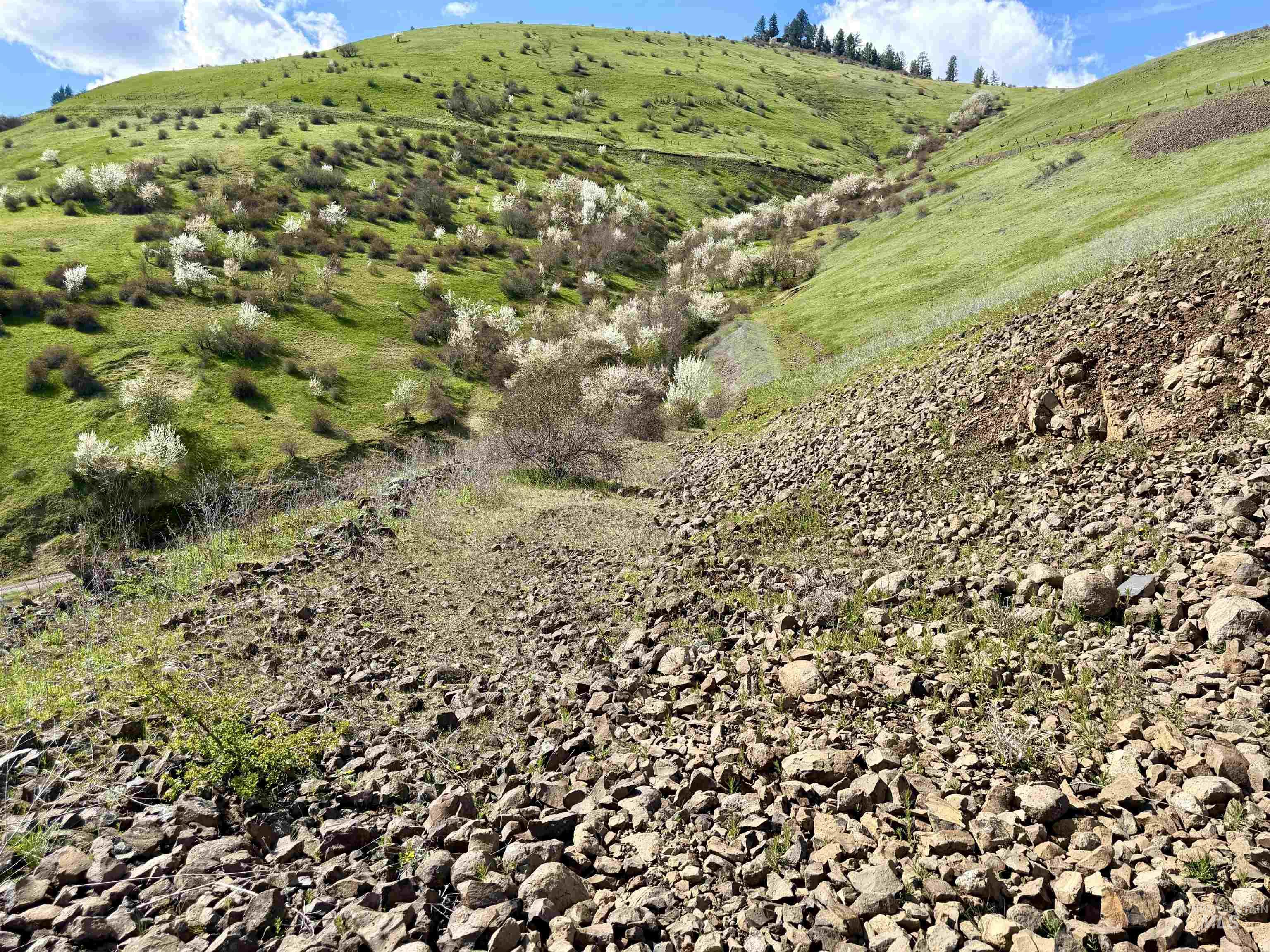 TBD Hidden Canyon Road, Kooskia, Idaho 83539, Land For Sale, Price $116,000, 98980780