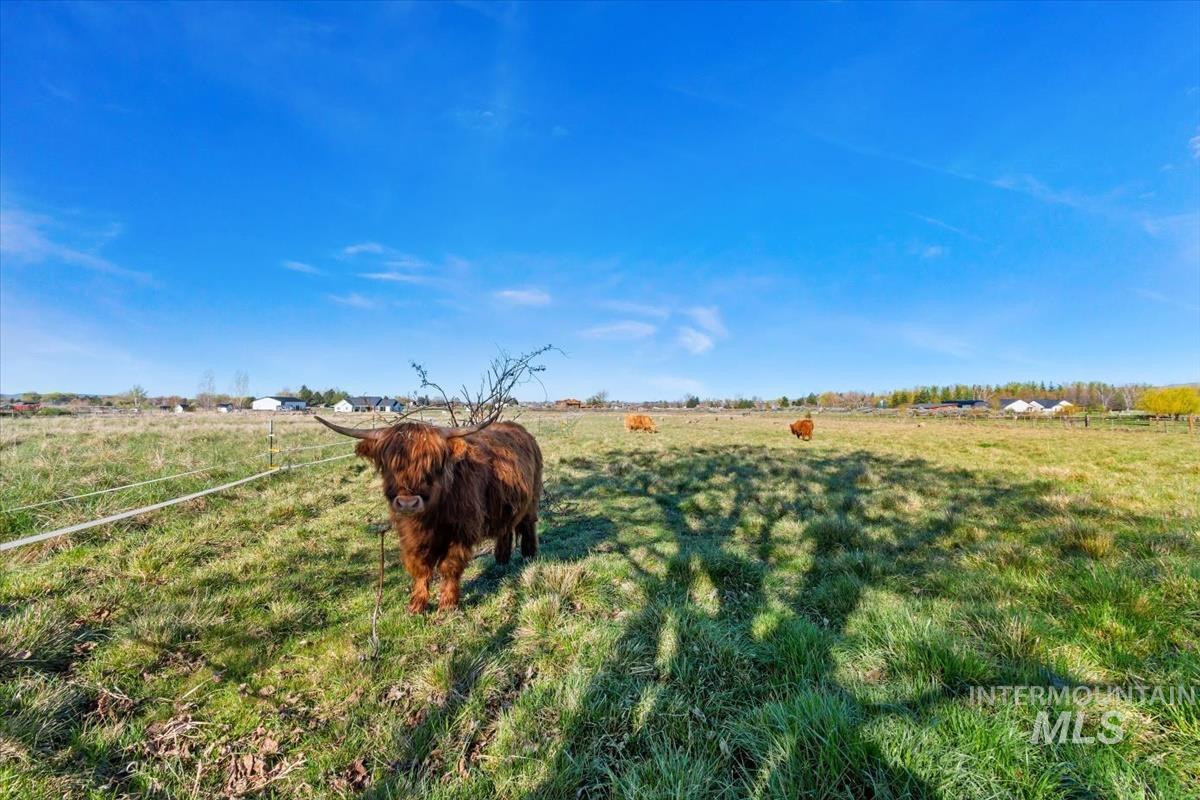 2439 Julie Ave, Emmett, Idaho 83617-9562, 4 Bedrooms, 3 Bathrooms, Residential For Sale, Price $879,900, 98980790