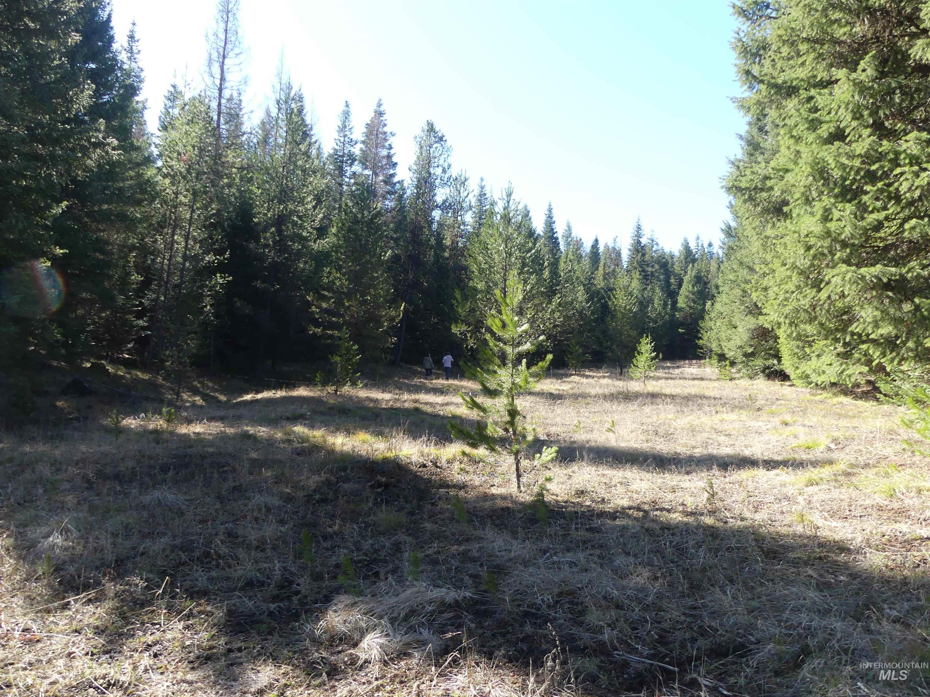 23860 Easy Lane, Winchester, Idaho 83555, Residential For Sale, Price $235,000, 98980796