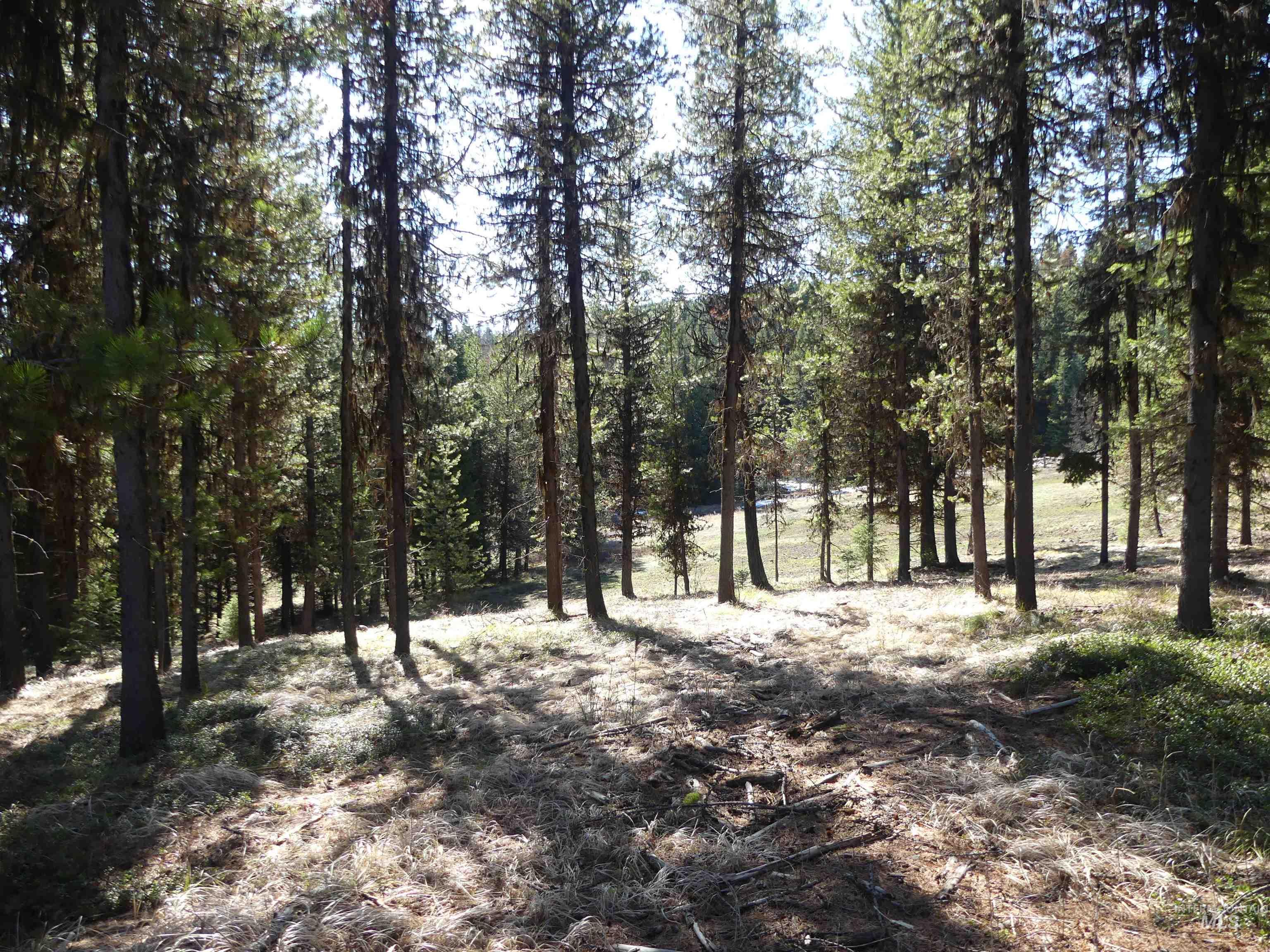 23860 Easy Lane, Winchester, Idaho 83555, Residential For Sale, Price $235,000, 98980796