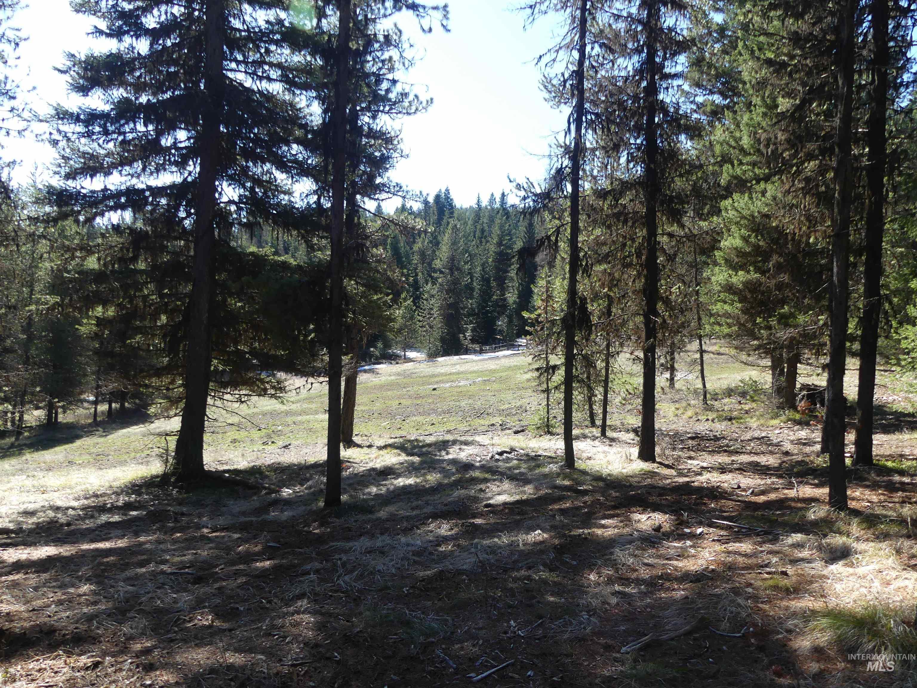 23860 Easy Lane, Winchester, Idaho 83555, Residential For Sale, Price $235,000, 98980796