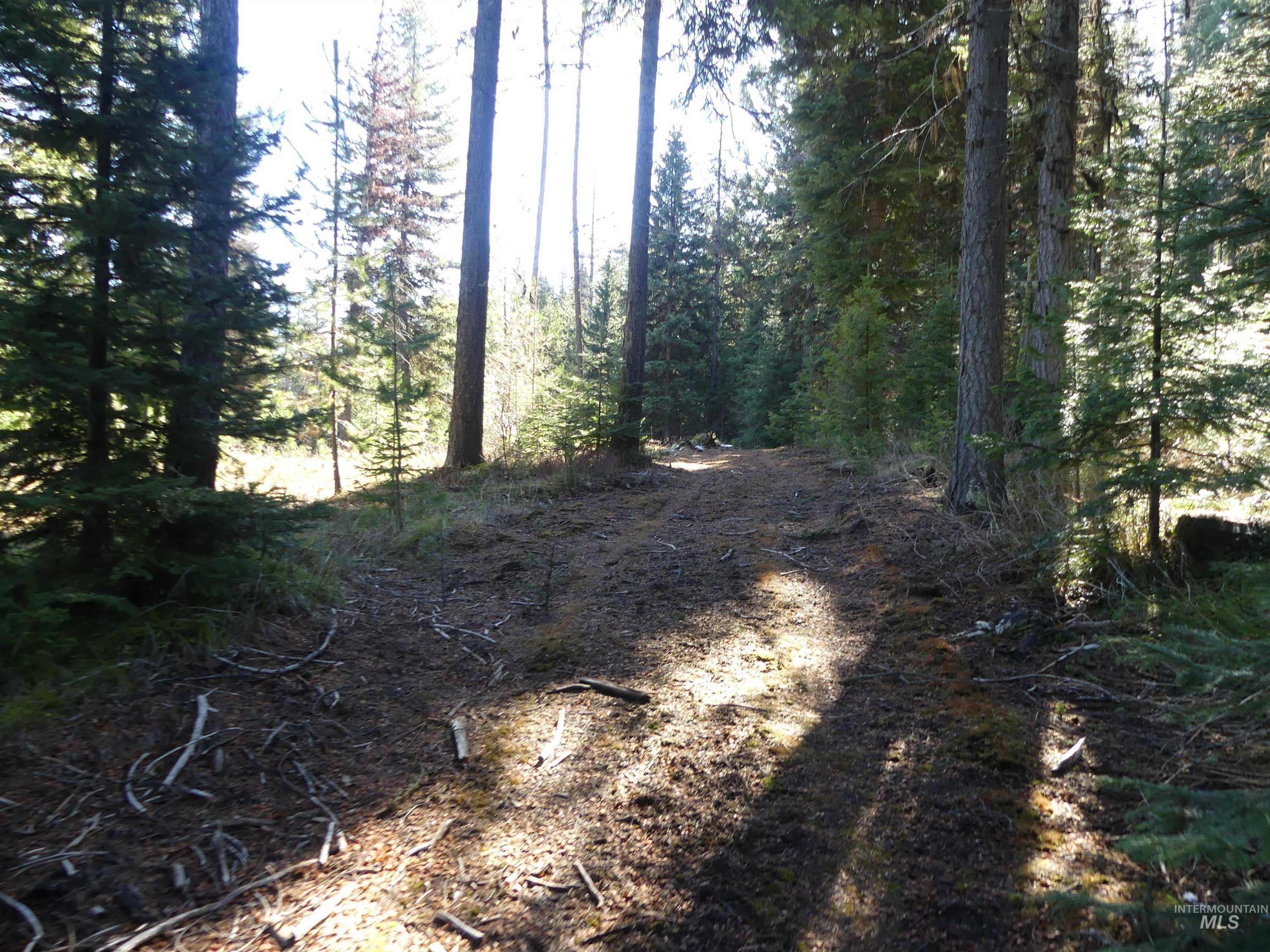 23860 Easy Lane, Winchester, Idaho 83555, Residential For Sale, Price $235,000, 98980796