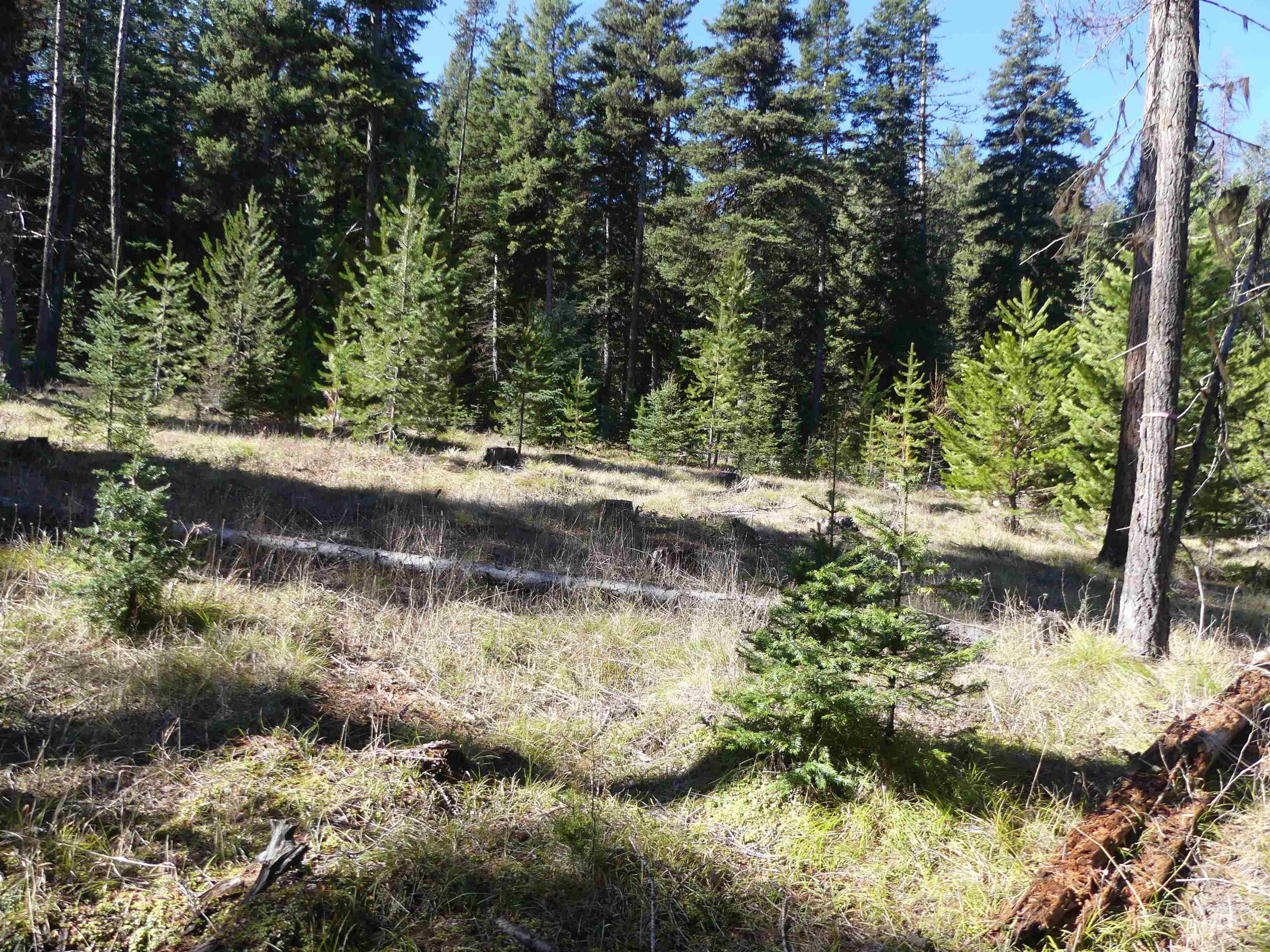 23860 Easy Lane, Winchester, Idaho 83555, Residential For Sale, Price $235,000, 98980796