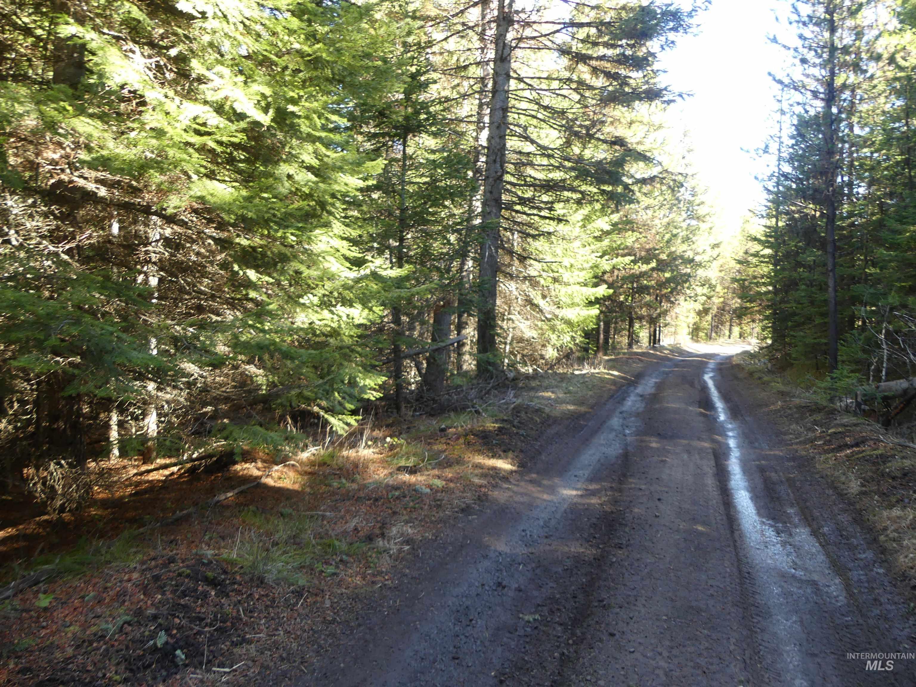 23860 Easy Lane, Winchester, Idaho 83555, Residential For Sale, Price $235,000, 98980796