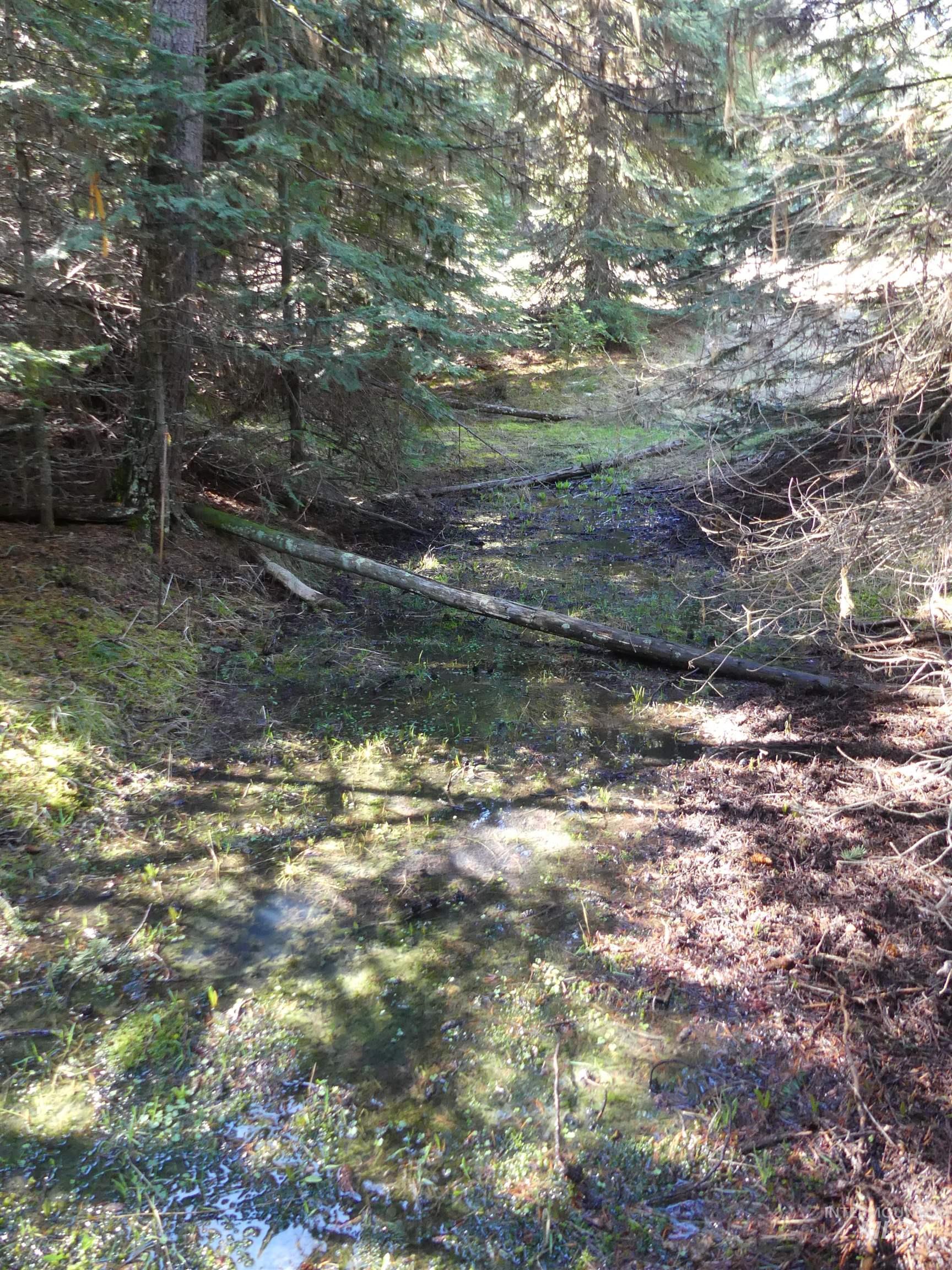 23860 Easy Lane, Winchester, Idaho 83555, Residential For Sale, Price $235,000, 98980796