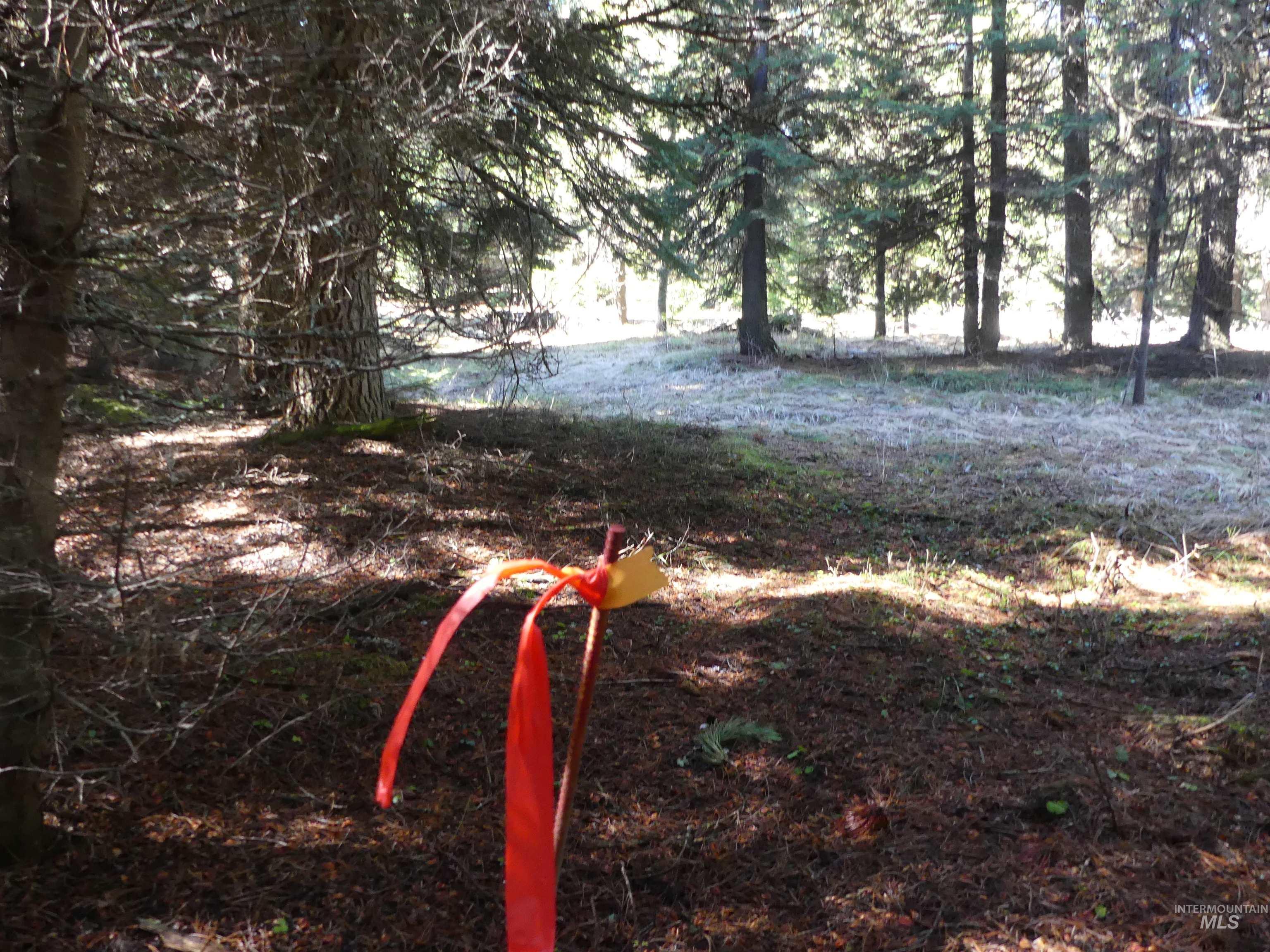 23860 Easy Lane, Winchester, Idaho 83555, Residential For Sale, Price $235,000, 98980796