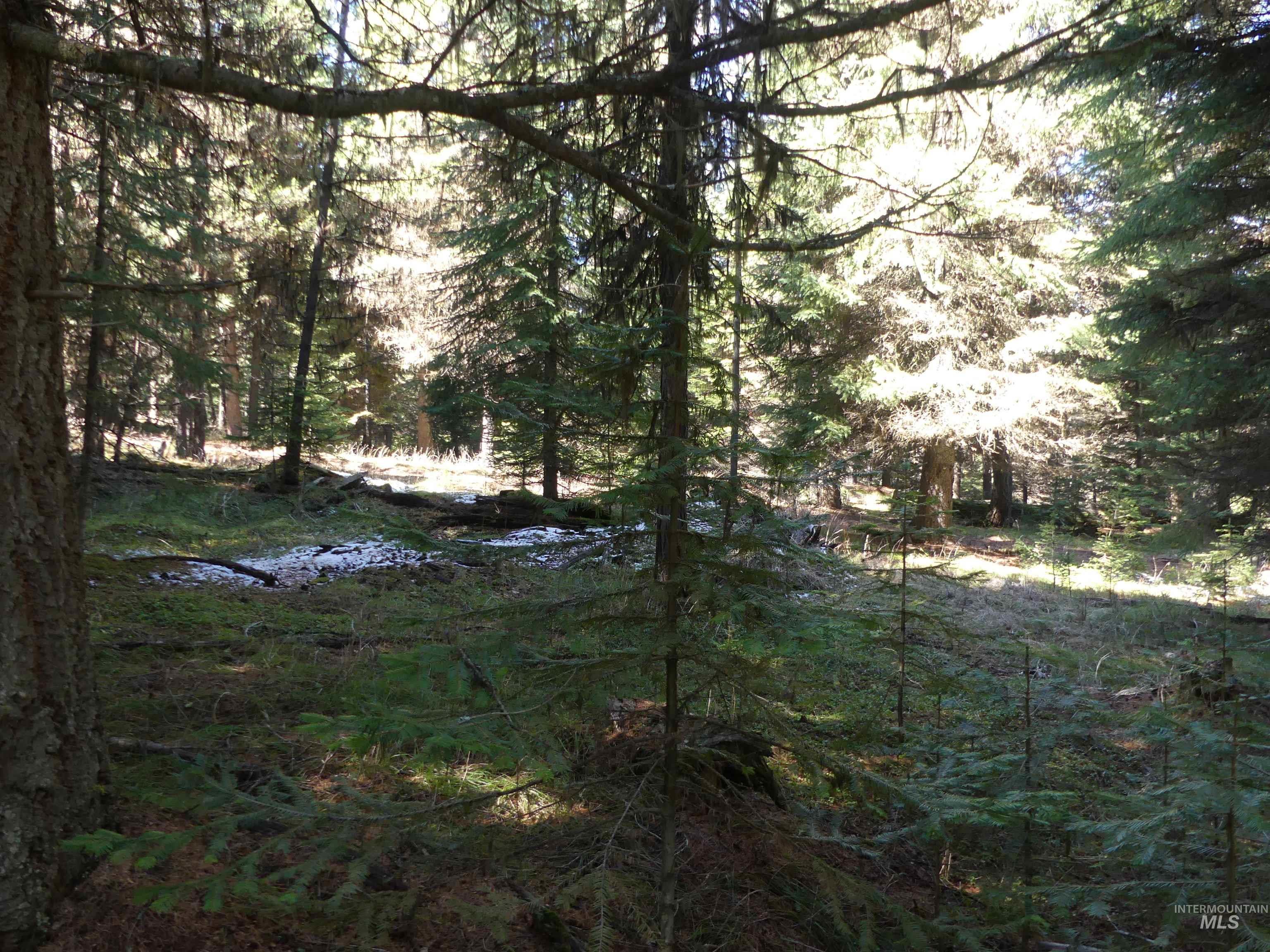 23860 Easy Lane, Winchester, Idaho 83555, Residential For Sale, Price $235,000, 98980796