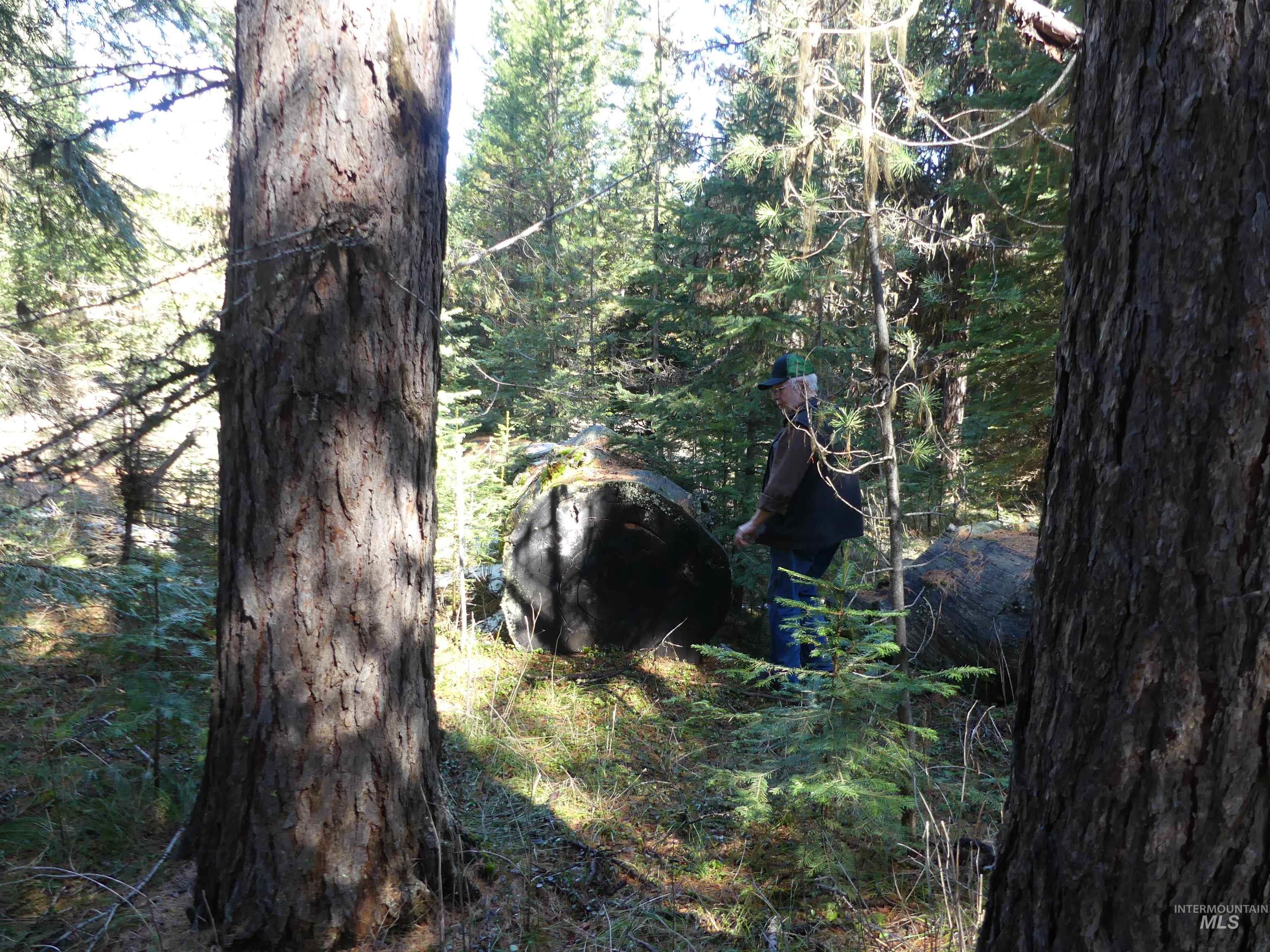 23860 Easy Lane, Winchester, Idaho 83555, Residential For Sale, Price $235,000, 98980796