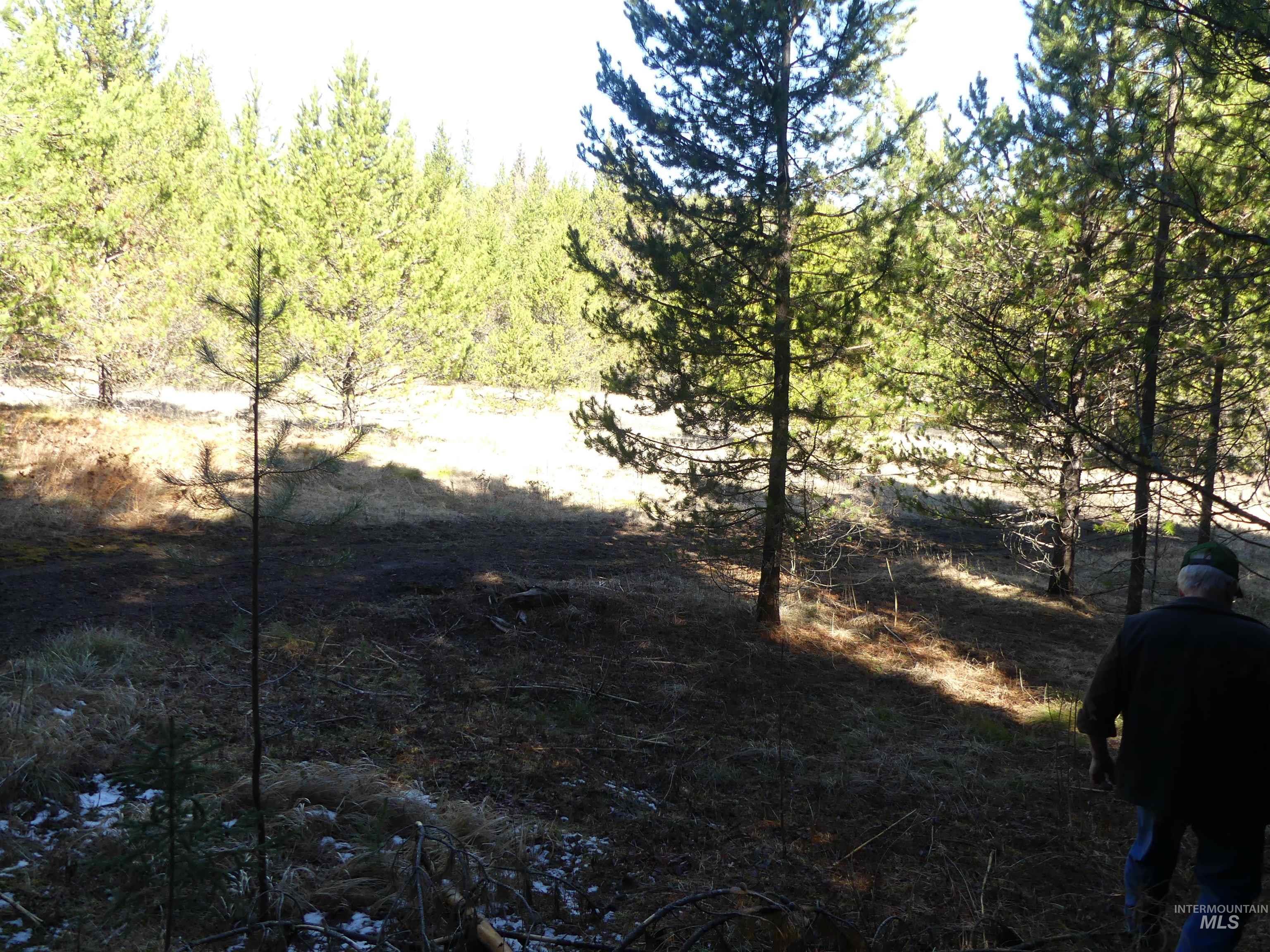 23860 Easy Lane, Winchester, Idaho 83555, Residential For Sale, Price $235,000, 98980796