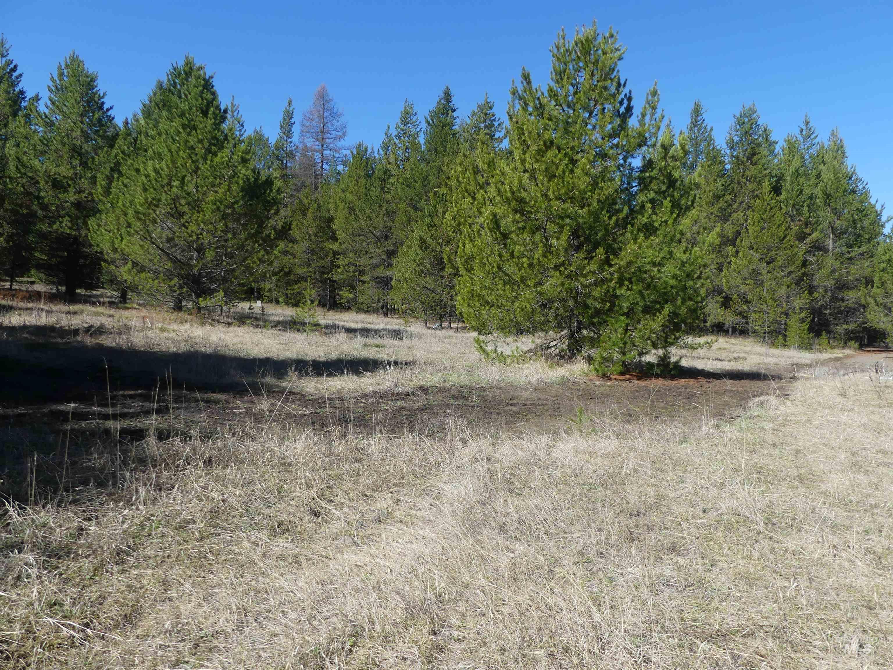 23860 Easy Lane, Winchester, Idaho 83555, Residential For Sale, Price $235,000, 98980796