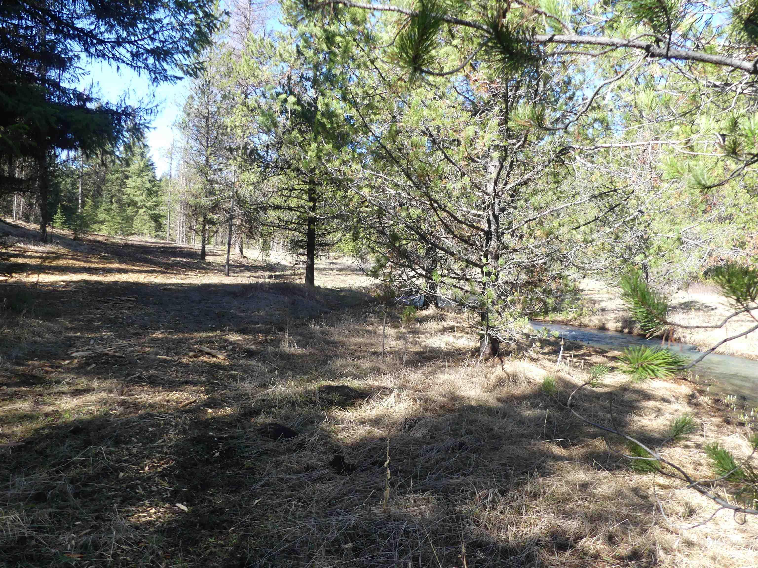 23860 Easy Lane, Winchester, Idaho 83555, Residential For Sale, Price $235,000, 98980796