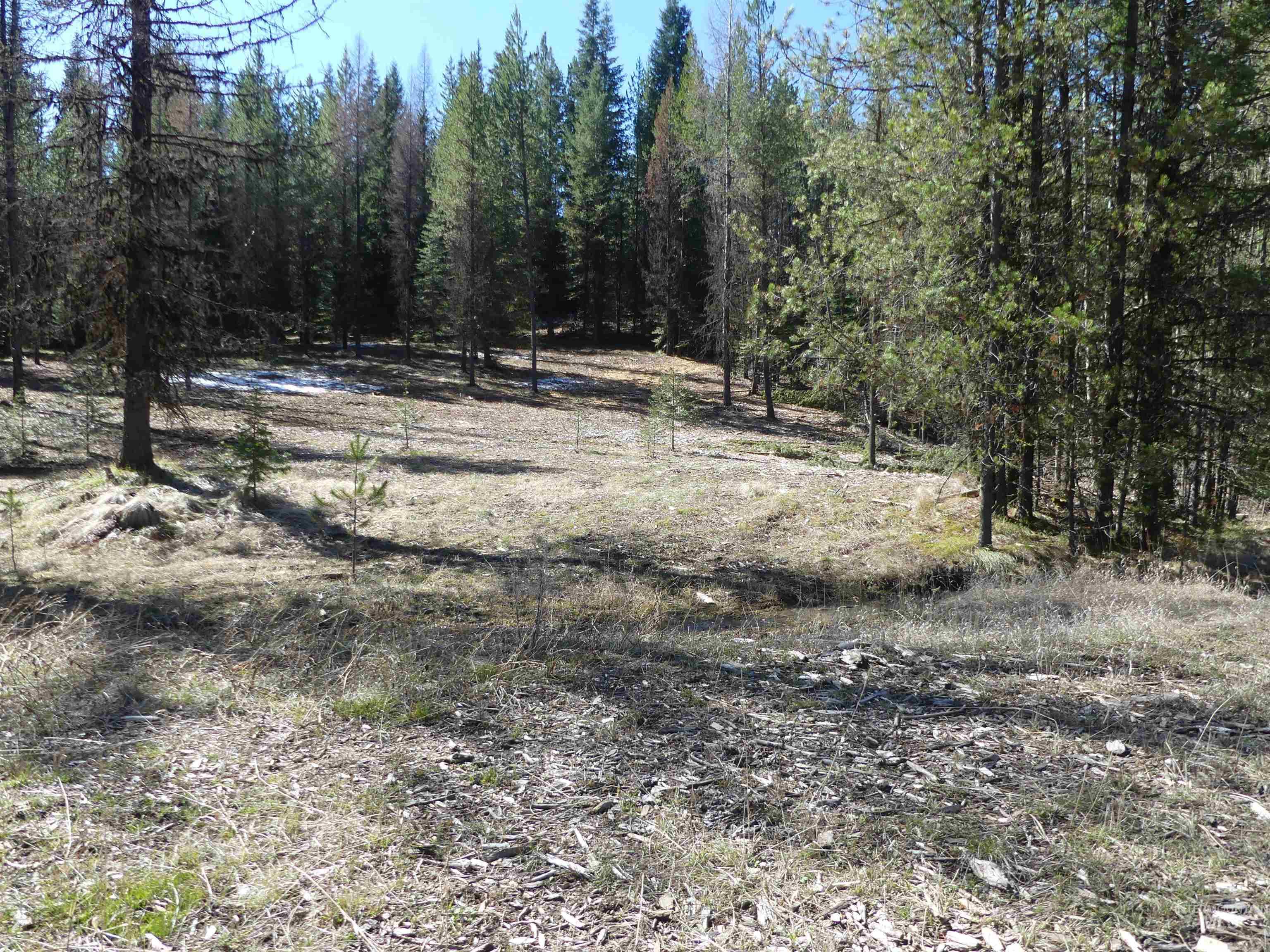 23860 Easy Lane, Winchester, Idaho 83555, Residential For Sale, Price $235,000, 98980796