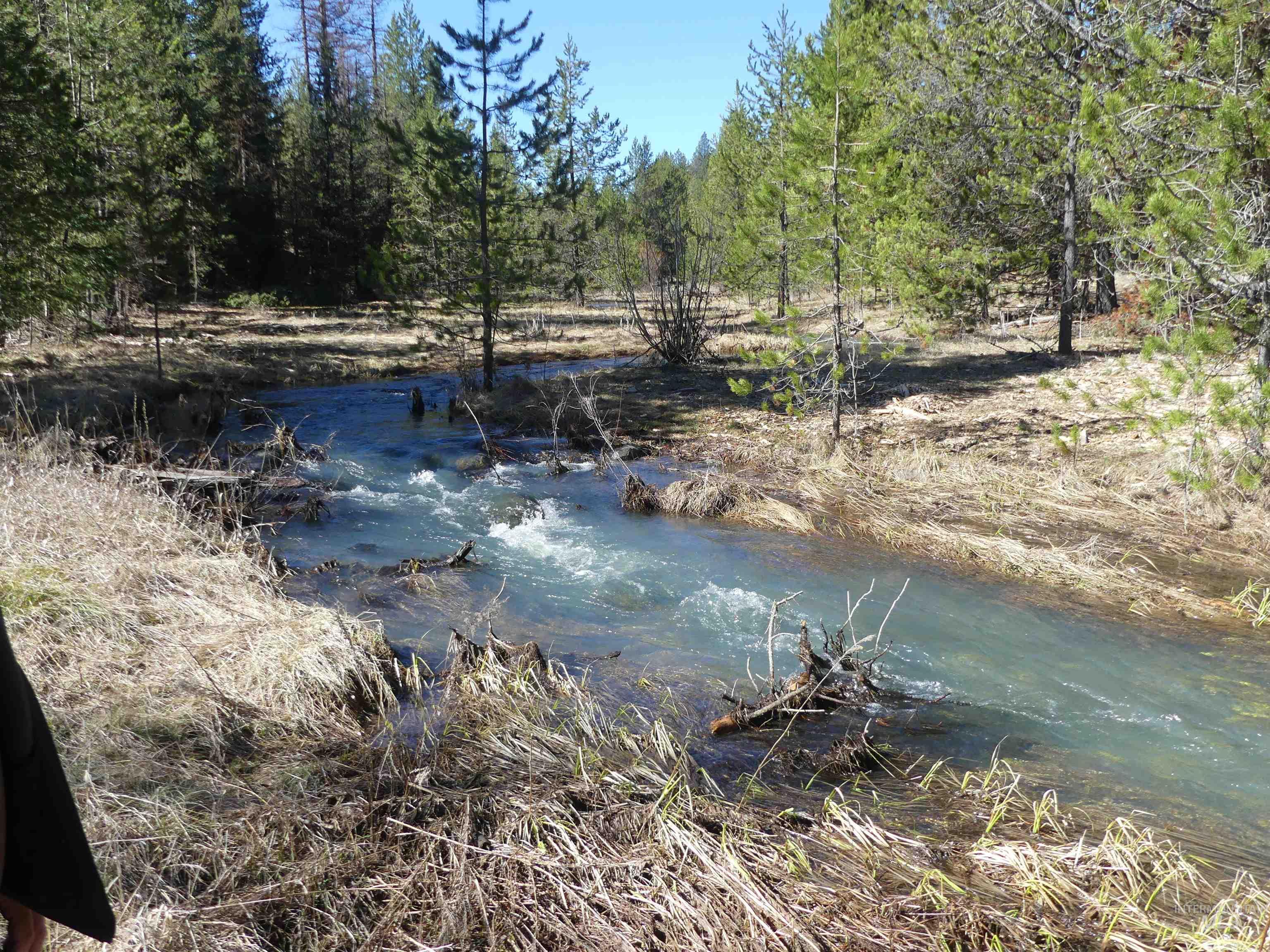 23860 Easy Lane, Winchester, Idaho 83555, Residential For Sale, Price $235,000, 98980796