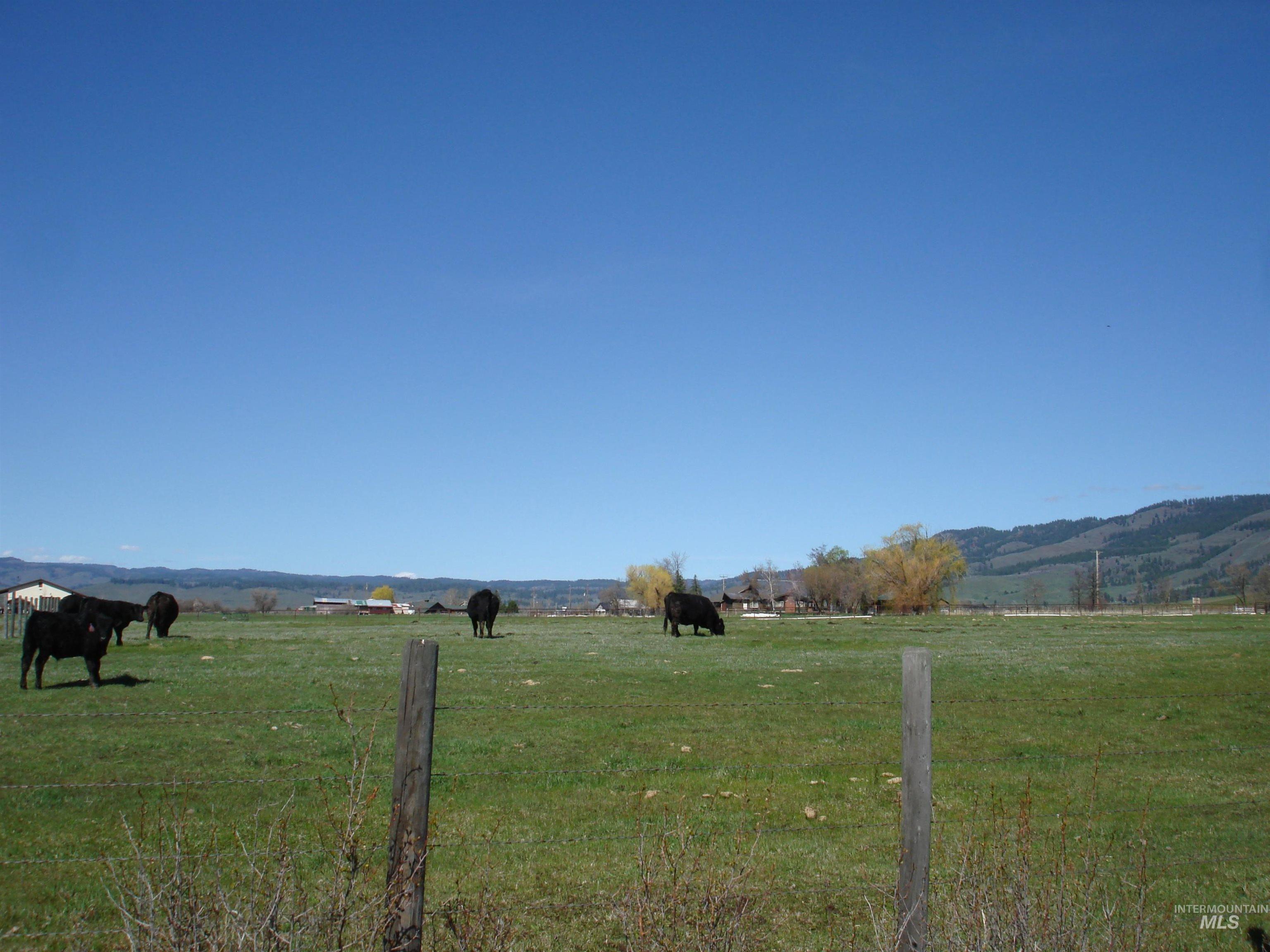TBD Orchard, Council, Idaho 83612, Land For Sale, Price $249,500,MLS 98980799