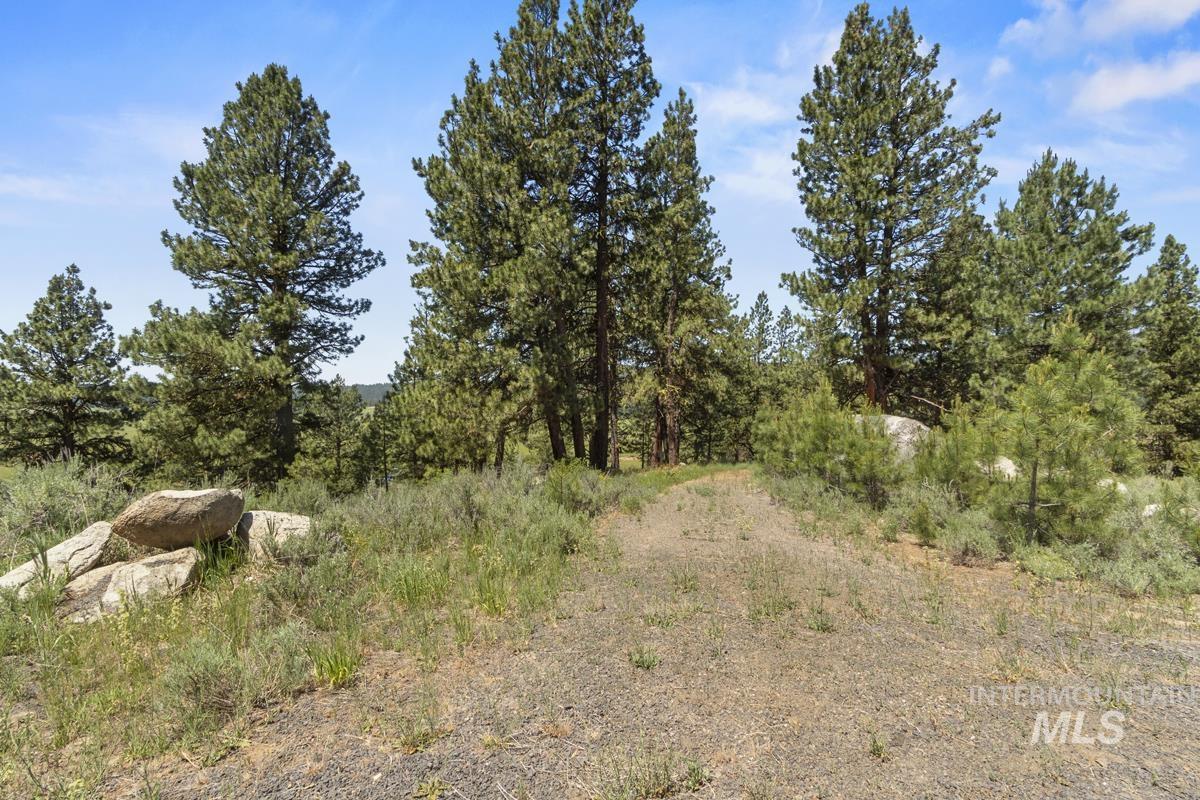 135 Lantern Way, High Valley, Idaho 83611, Land For Sale, Price $250,000, 98980871