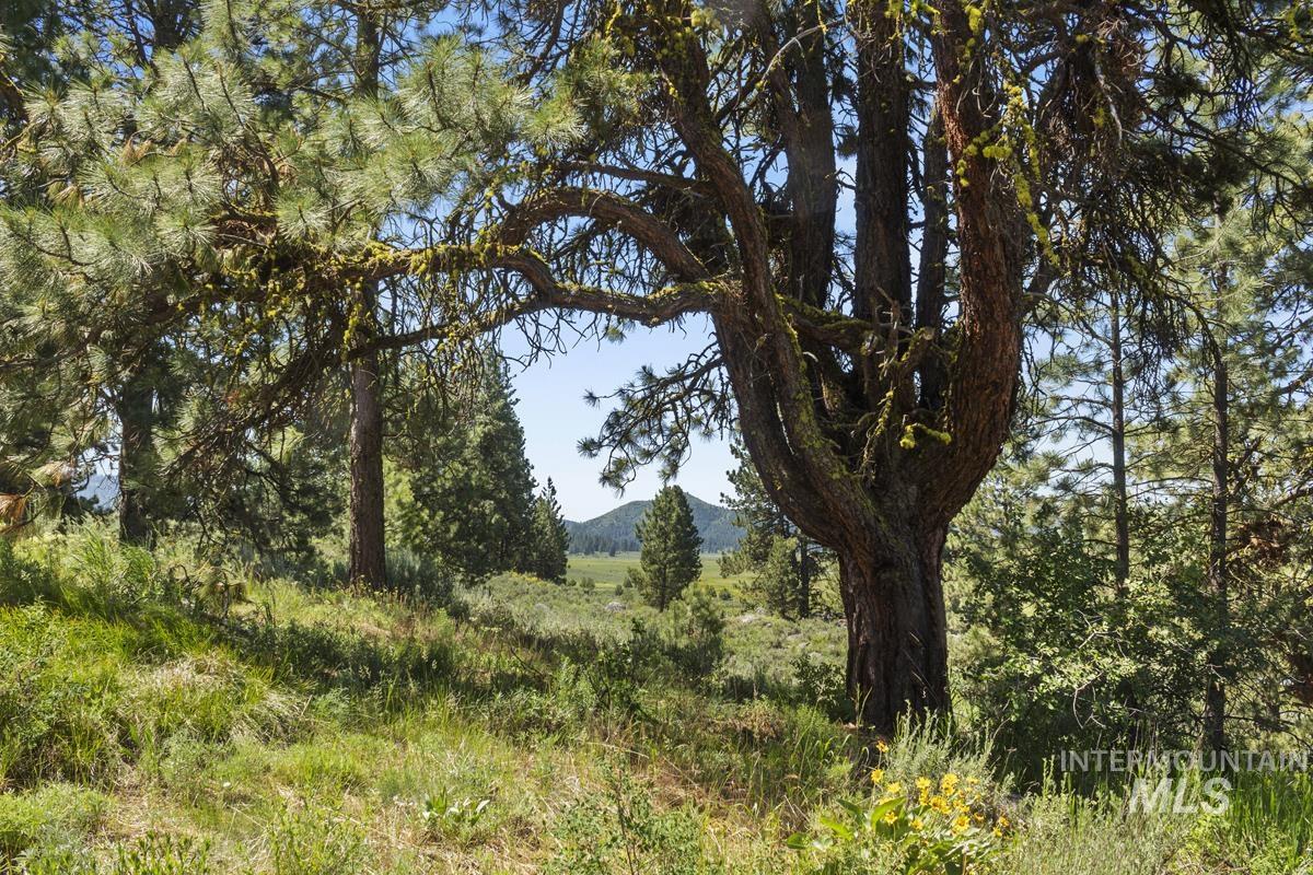 135 Lantern Way, High Valley, Idaho 83611, Land For Sale, Price $250,000, 98980871