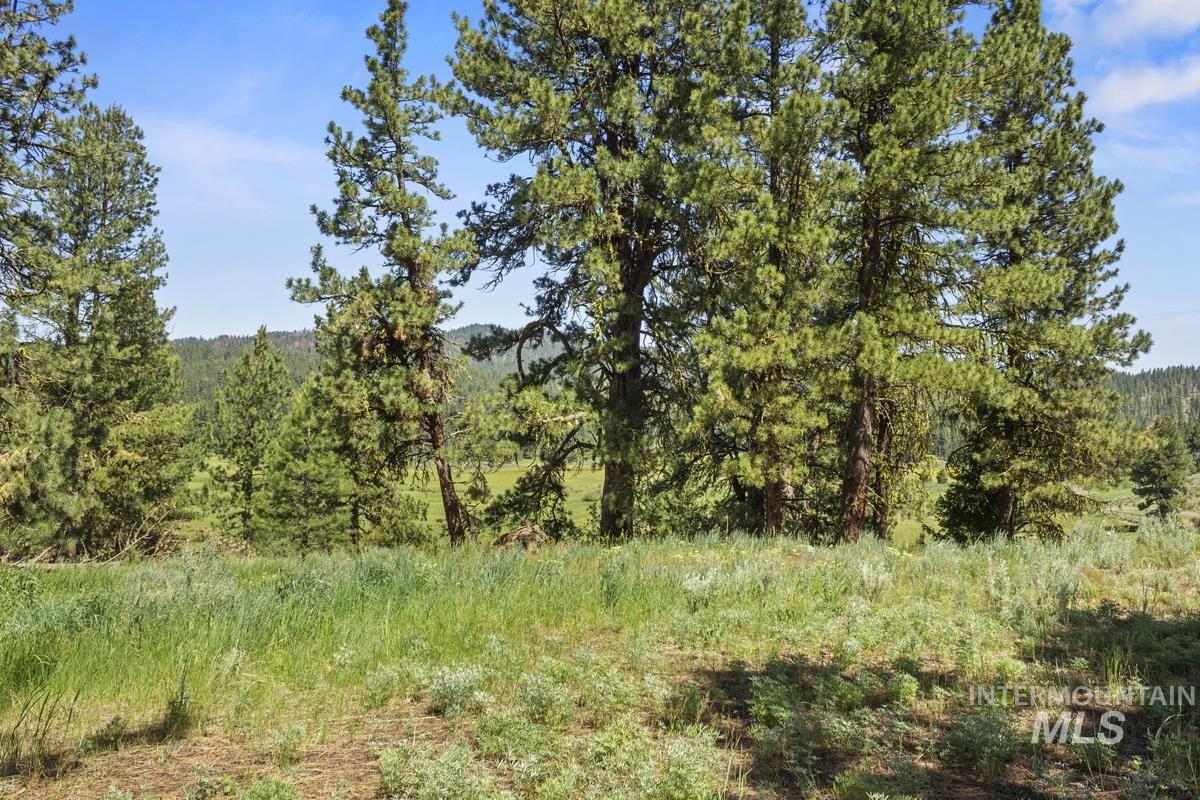 135 Lantern Way, High Valley, Idaho 83611, Land For Sale, Price $250,000, 98980871