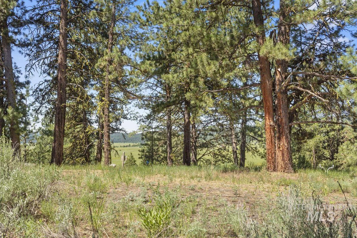 135 Lantern Way, High Valley, Idaho 83611, Land For Sale, Price $250,000, 98980871