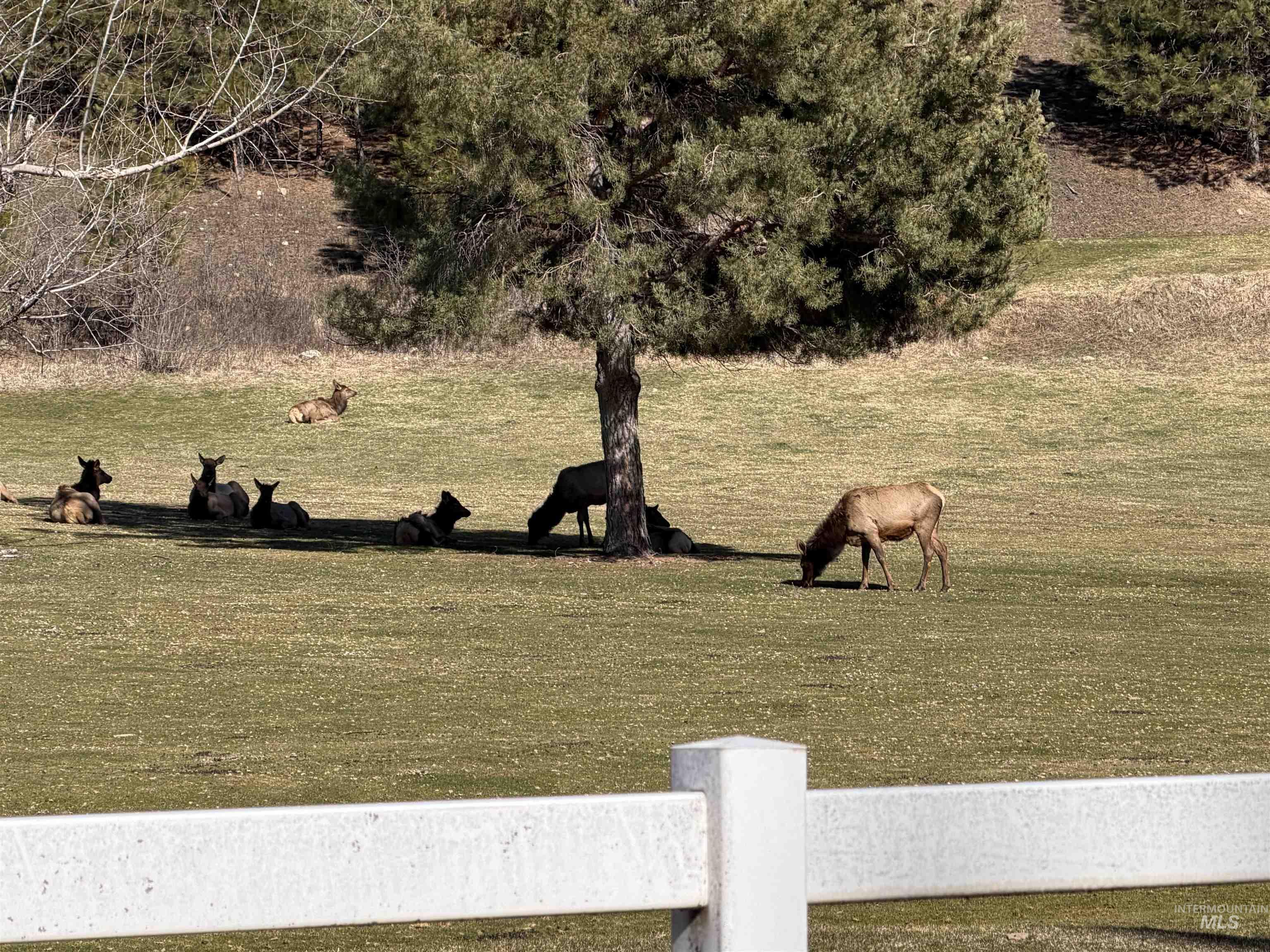 45 Rainbow Ridge, Garden Valley, Idaho 83622, 3 Bedrooms, 3 Bathrooms, Residential For Sale, Price $796,985,MLS 98980873