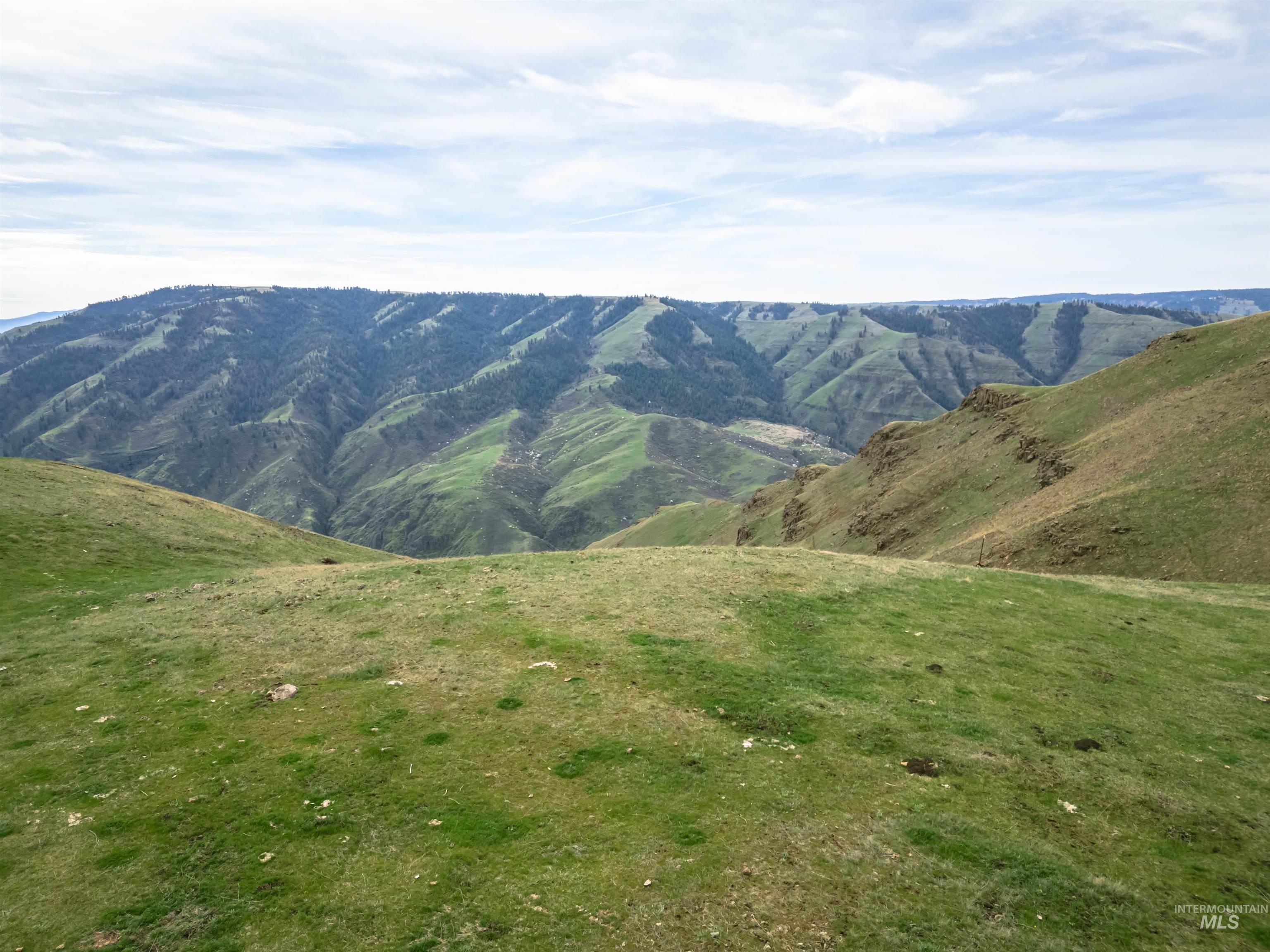 Lot 9 Salmon River Canyon Estates, Grangeville, Idaho 83530, Land For Sale, Price $239,000, 98980879