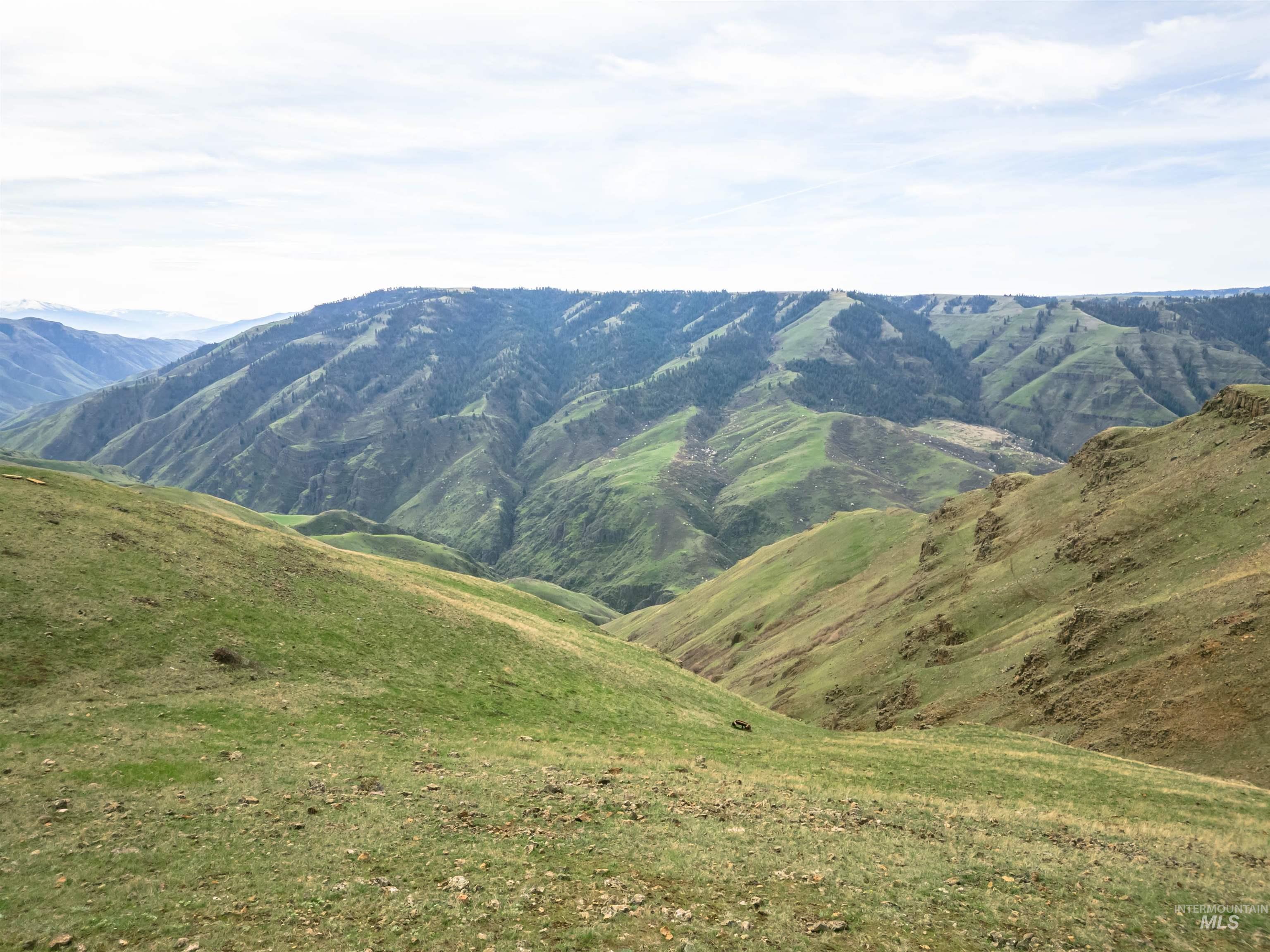 Lot 9 Salmon River Canyon Estates, Grangeville, Idaho 83530, Land For Sale, Price $239,000, 98980879