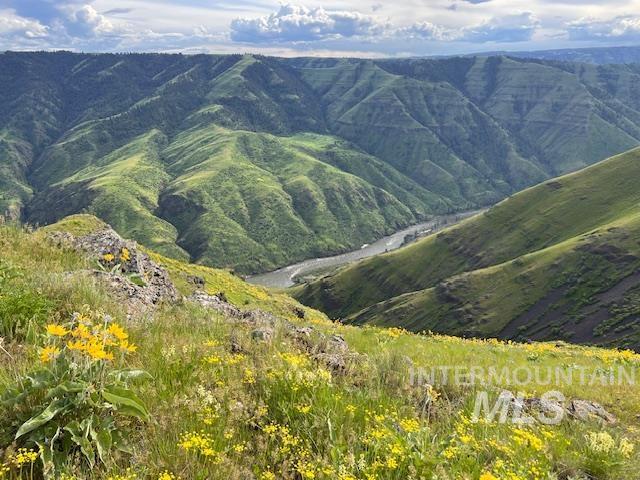 Lot 9 Salmon River Canyon Estates, Grangeville, Idaho 83530, Land For Sale, Price $239,000, 98980879