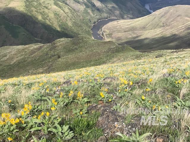 Lot 9 Salmon River Canyon Estates, Grangeville, Idaho 83530, Land For Sale, Price $239,000, 98980879